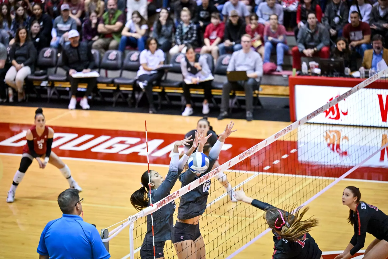 Washington State volleyball fell, 3-0, to eighth-ranked Stanford on Friday, Oct. 28, 2022, in Bohler Gym.