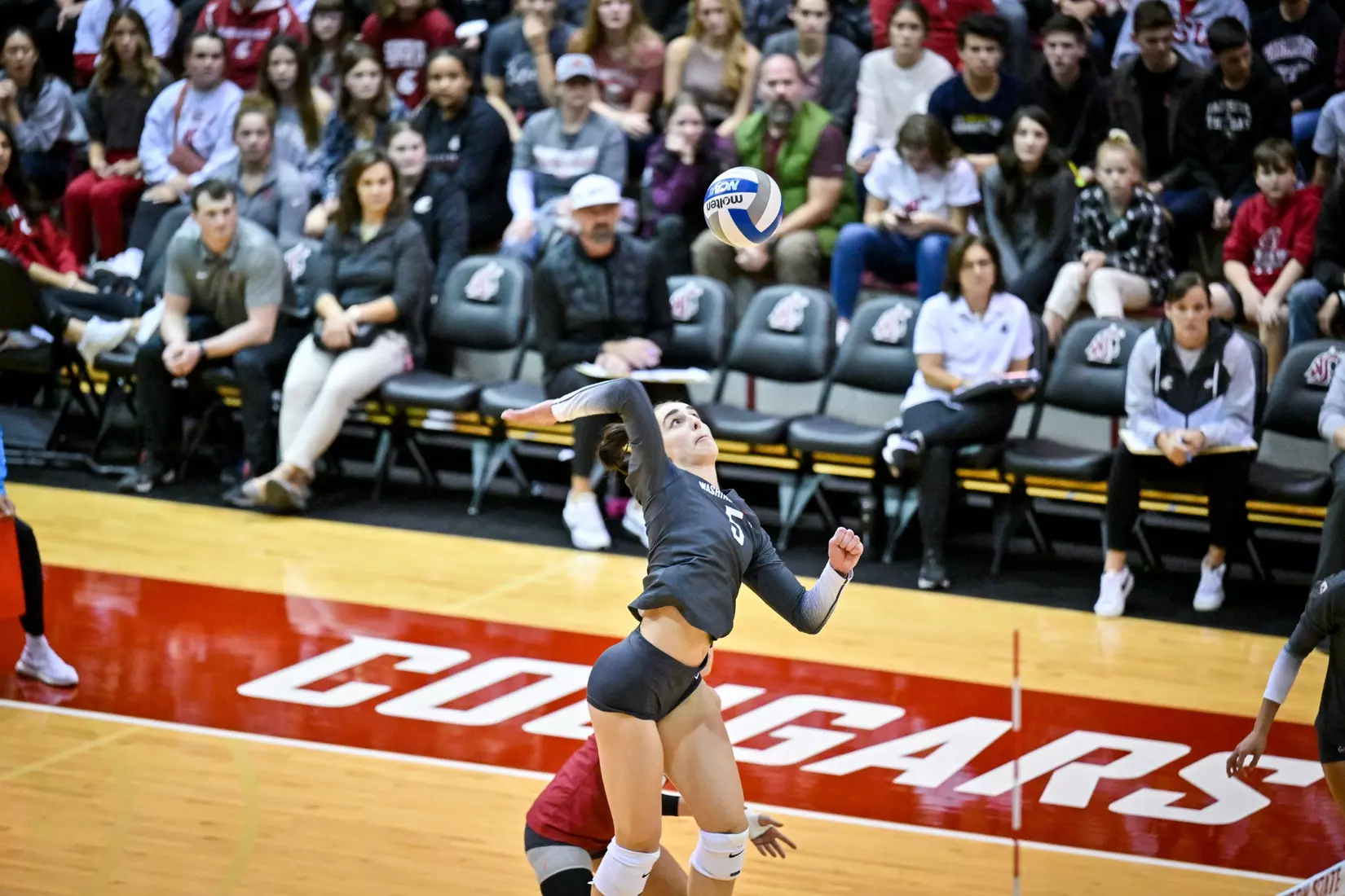 Washington State volleyball fell, 3-0, to eighth-ranked Stanford on Friday, Oct. 28, 2022, in Bohler Gym.