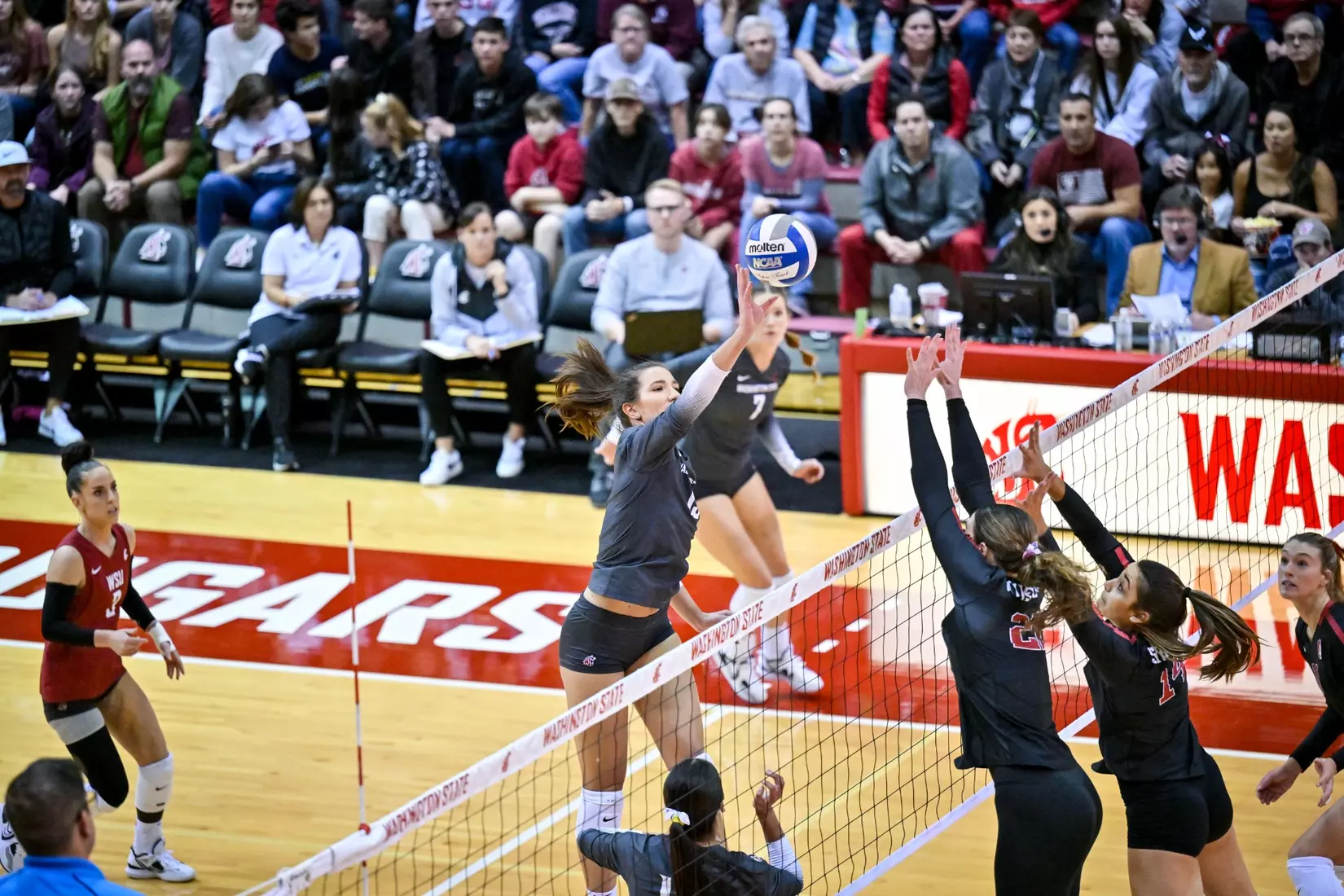 Washington State volleyball fell, 3-0, to eighth-ranked Stanford on Friday, Oct. 28, 2022, in Bohler Gym.
