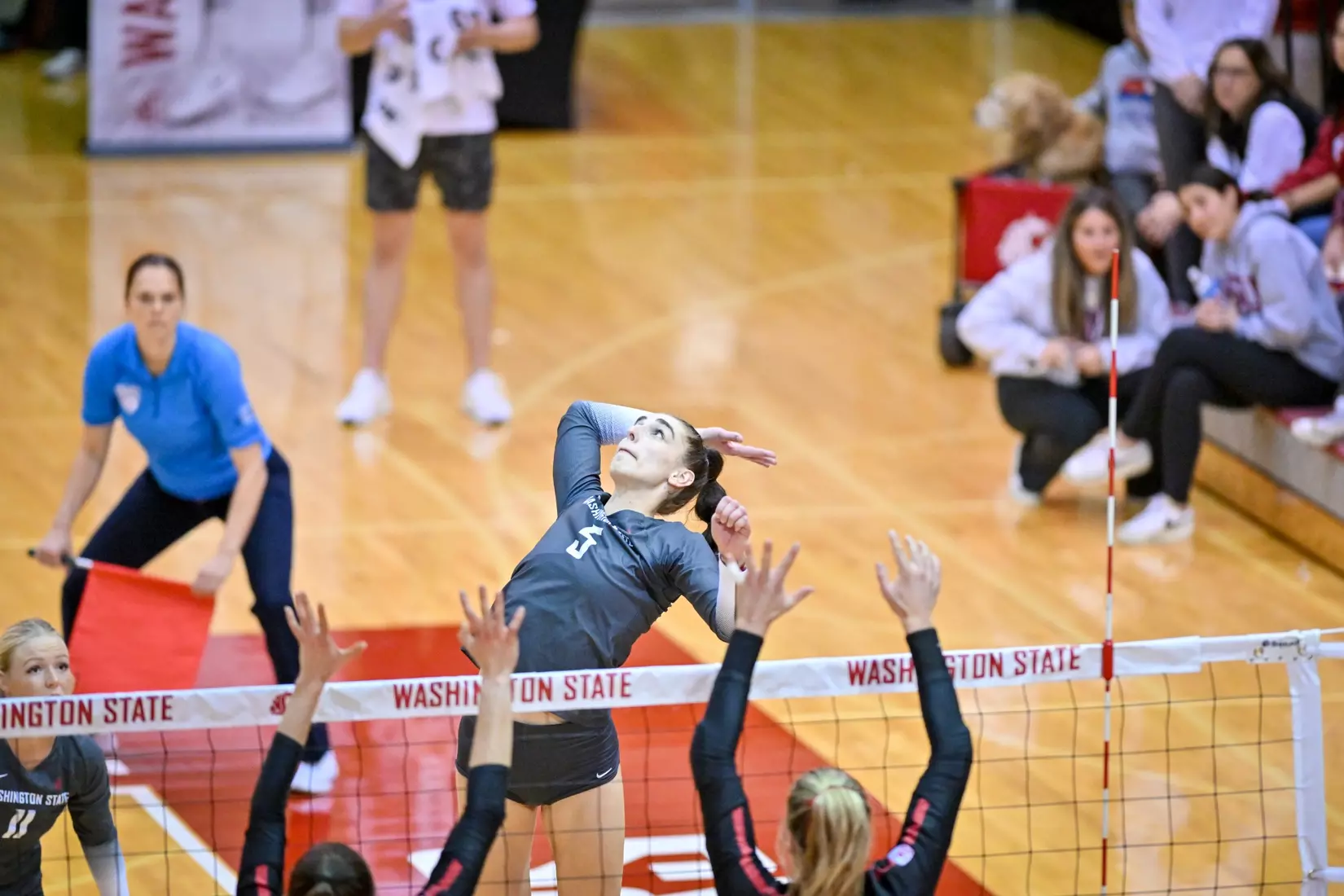 Washington State volleyball fell, 3-0, to eighth-ranked Stanford on Friday, Oct. 28, 2022, in Bohler Gym.