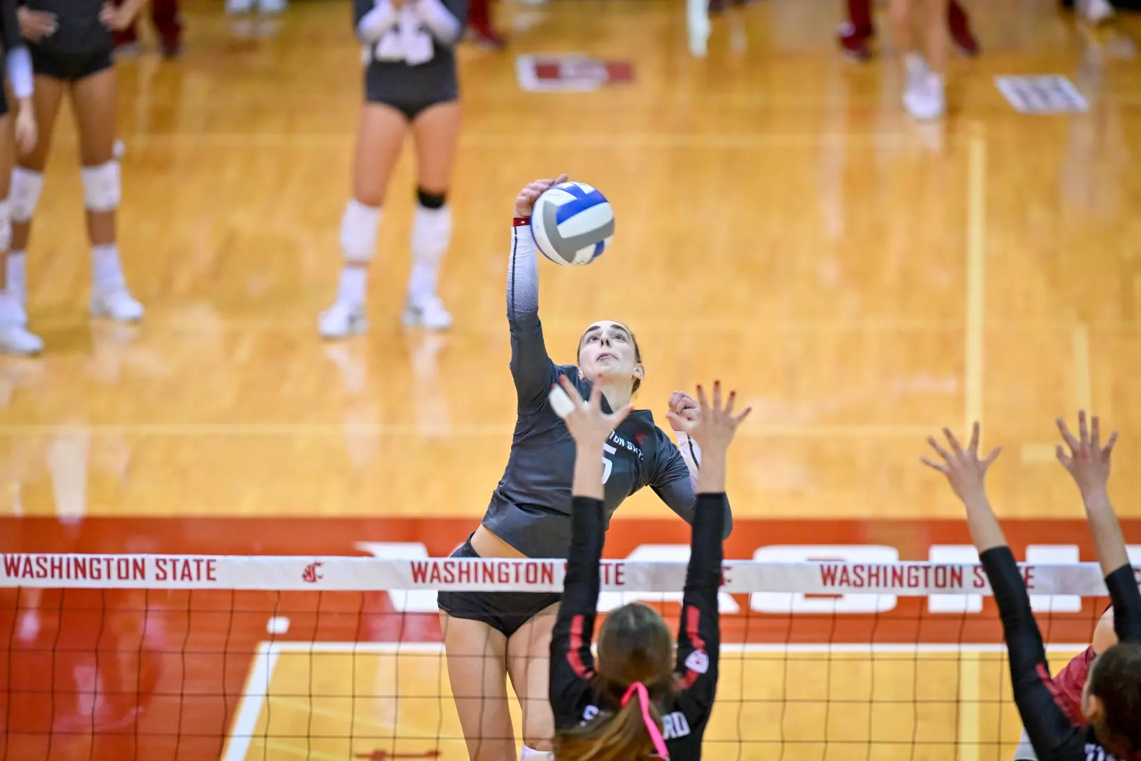 Washington State volleyball fell, 3-0, to eighth-ranked Stanford on Friday, Oct. 28, 2022, in Bohler Gym.