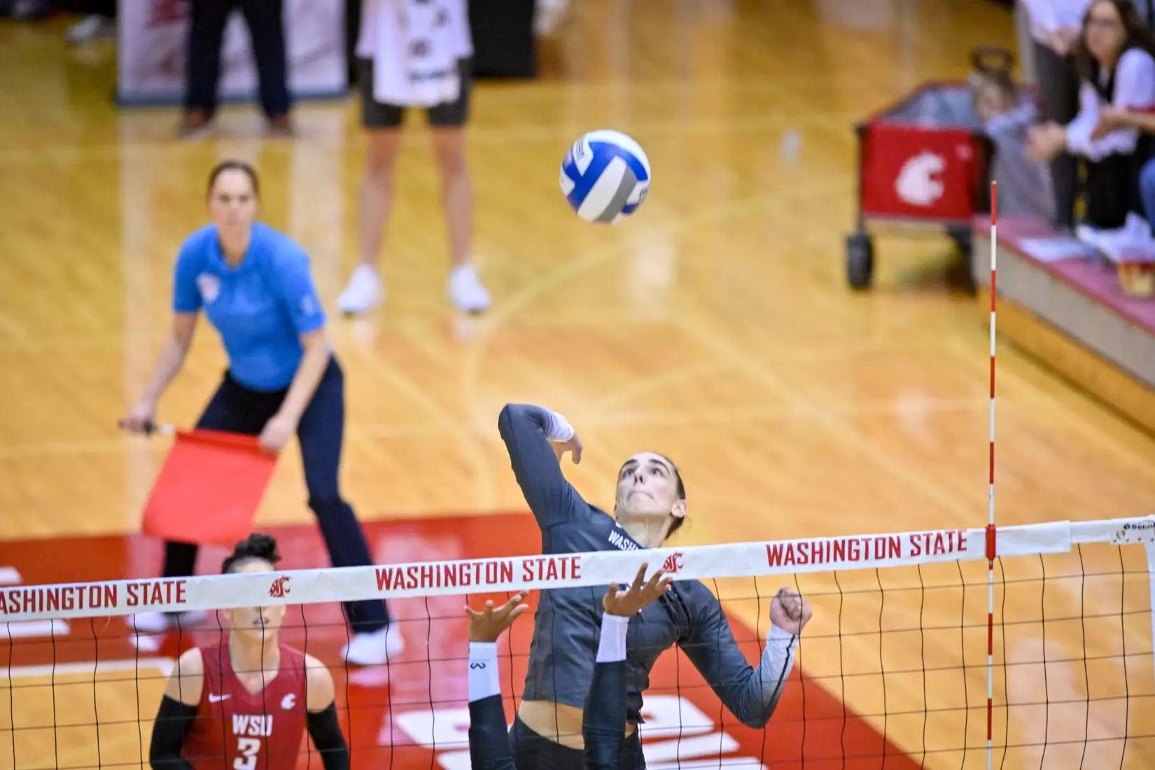Washington State volleyball fell, 3-0, to eighth-ranked Stanford on Friday, Oct. 28, 2022, in Bohler Gym.