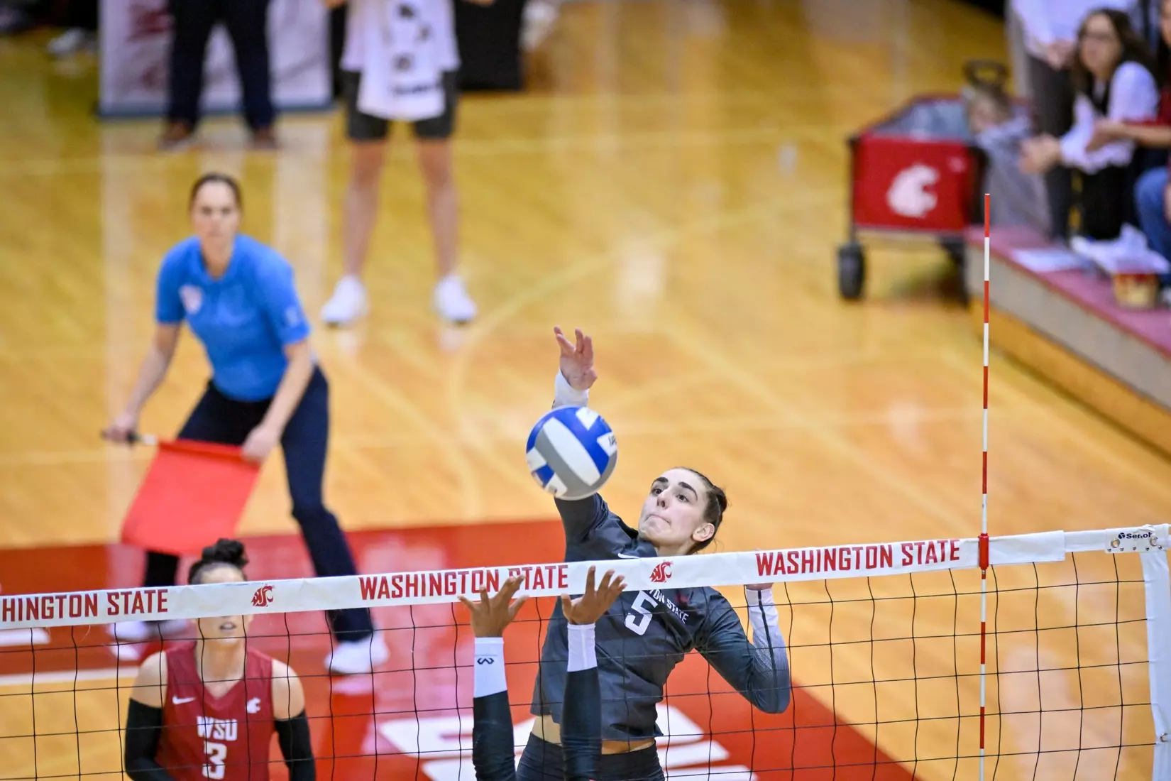 Washington State volleyball fell, 3-0, to eighth-ranked Stanford on Friday, Oct. 28, 2022, in Bohler Gym.