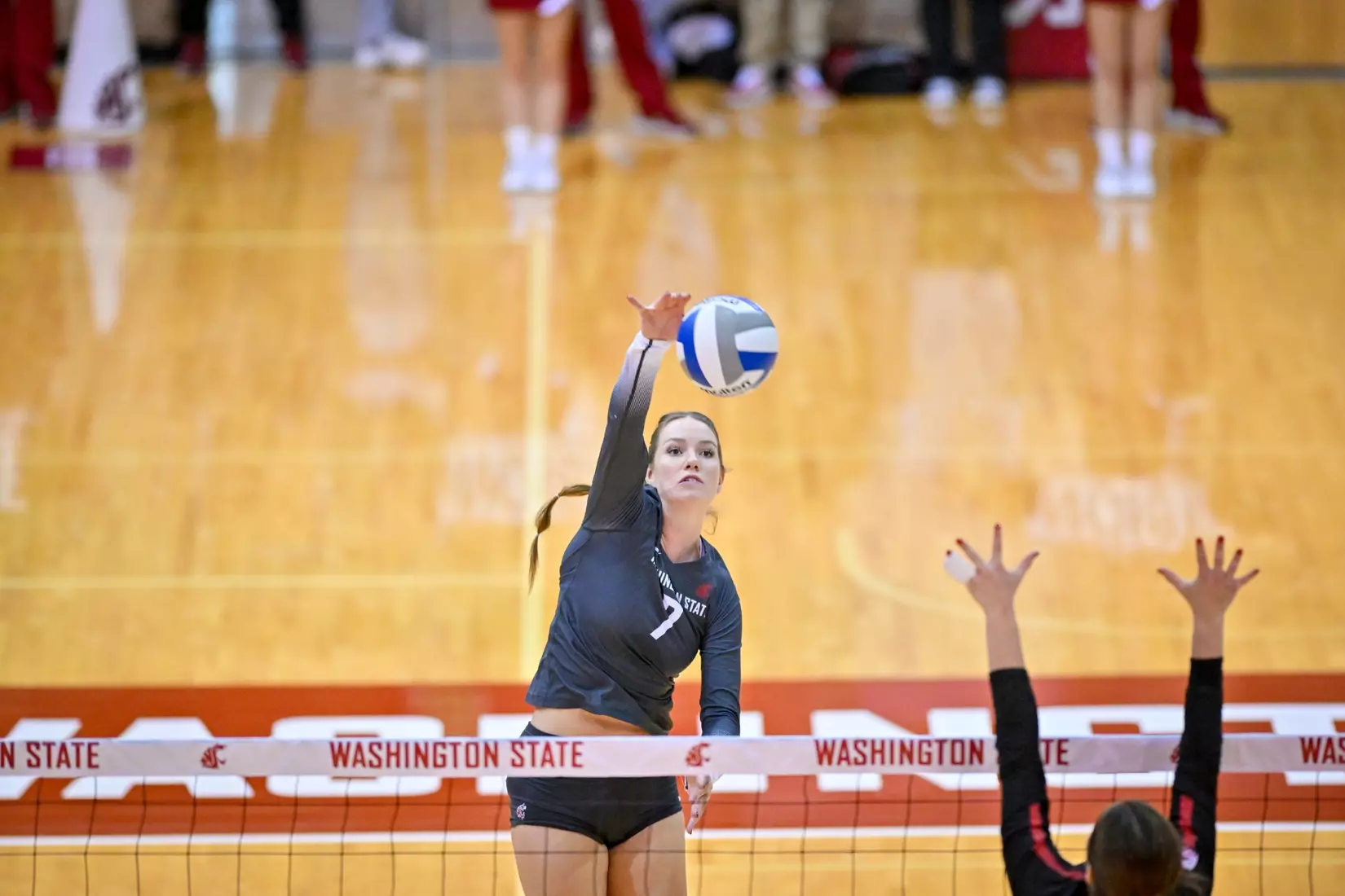 Washington State volleyball fell, 3-0, to eighth-ranked Stanford on Friday, Oct. 28, 2022, in Bohler Gym.
