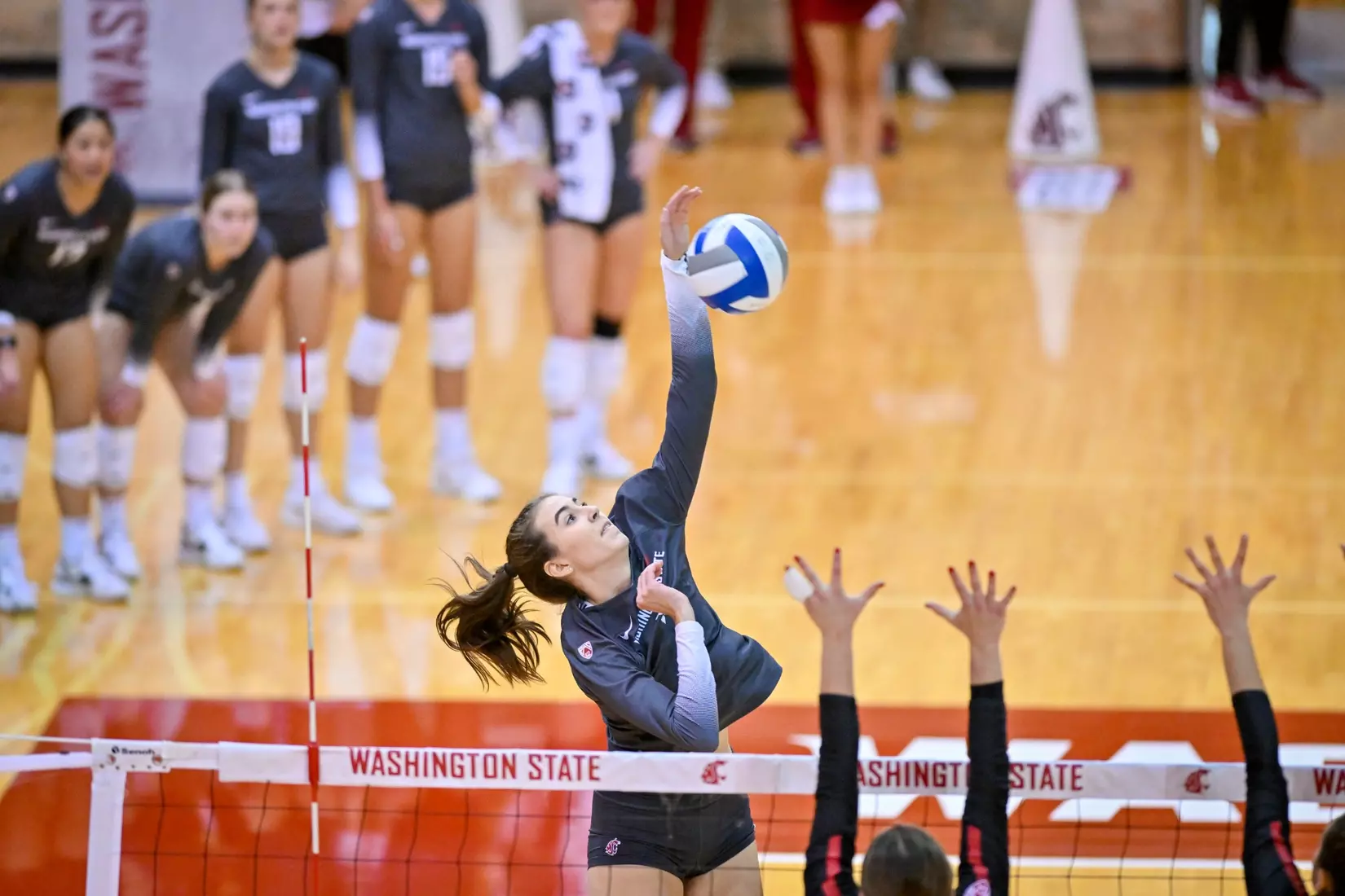 Washington State volleyball fell, 3-0, to eighth-ranked Stanford on Friday, Oct. 28, 2022, in Bohler Gym.