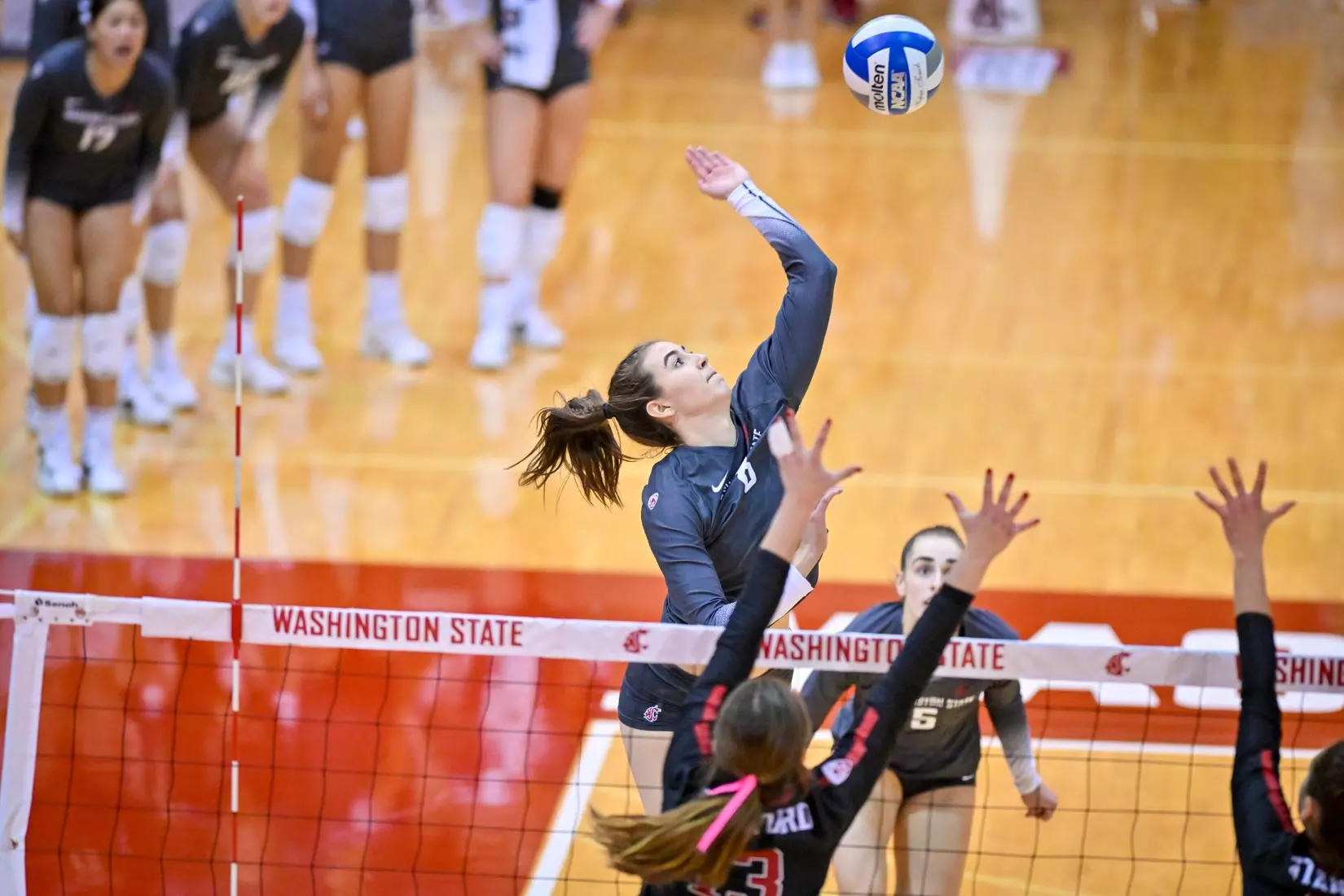 Washington State volleyball fell, 3-0, to eighth-ranked Stanford on Friday, Oct. 28, 2022, in Bohler Gym.