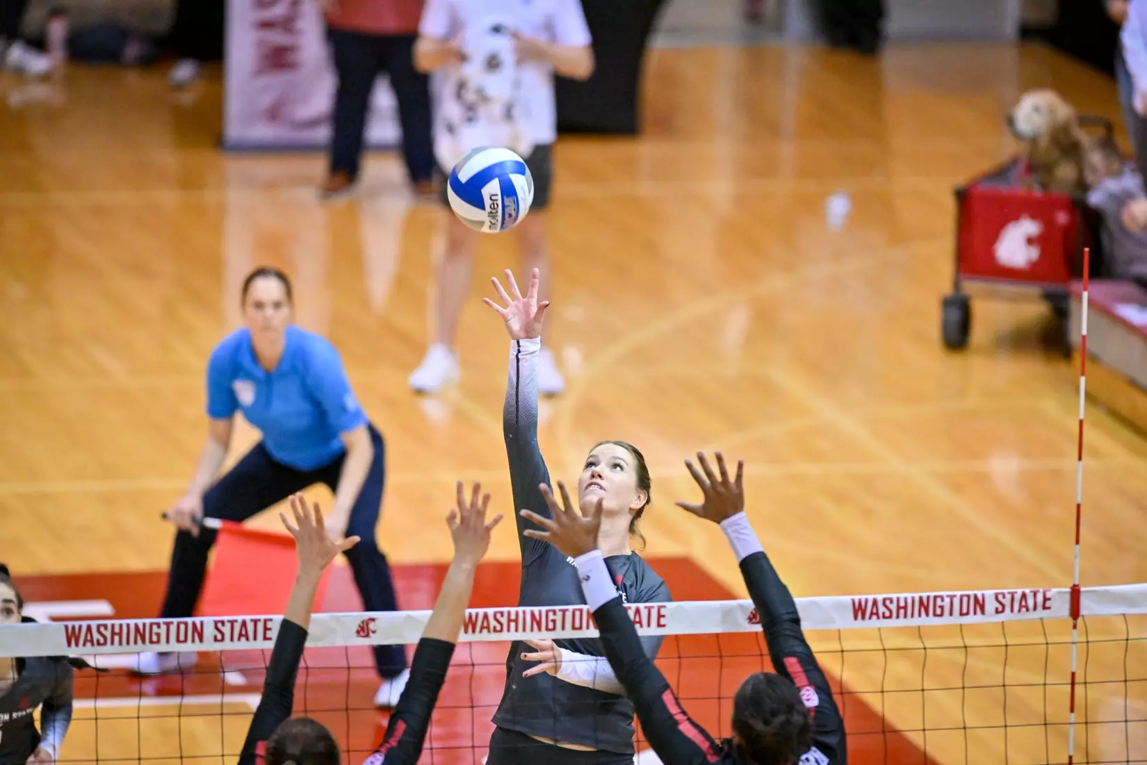 Washington State volleyball fell, 3-0, to eighth-ranked Stanford on Friday, Oct. 28, 2022, in Bohler Gym.