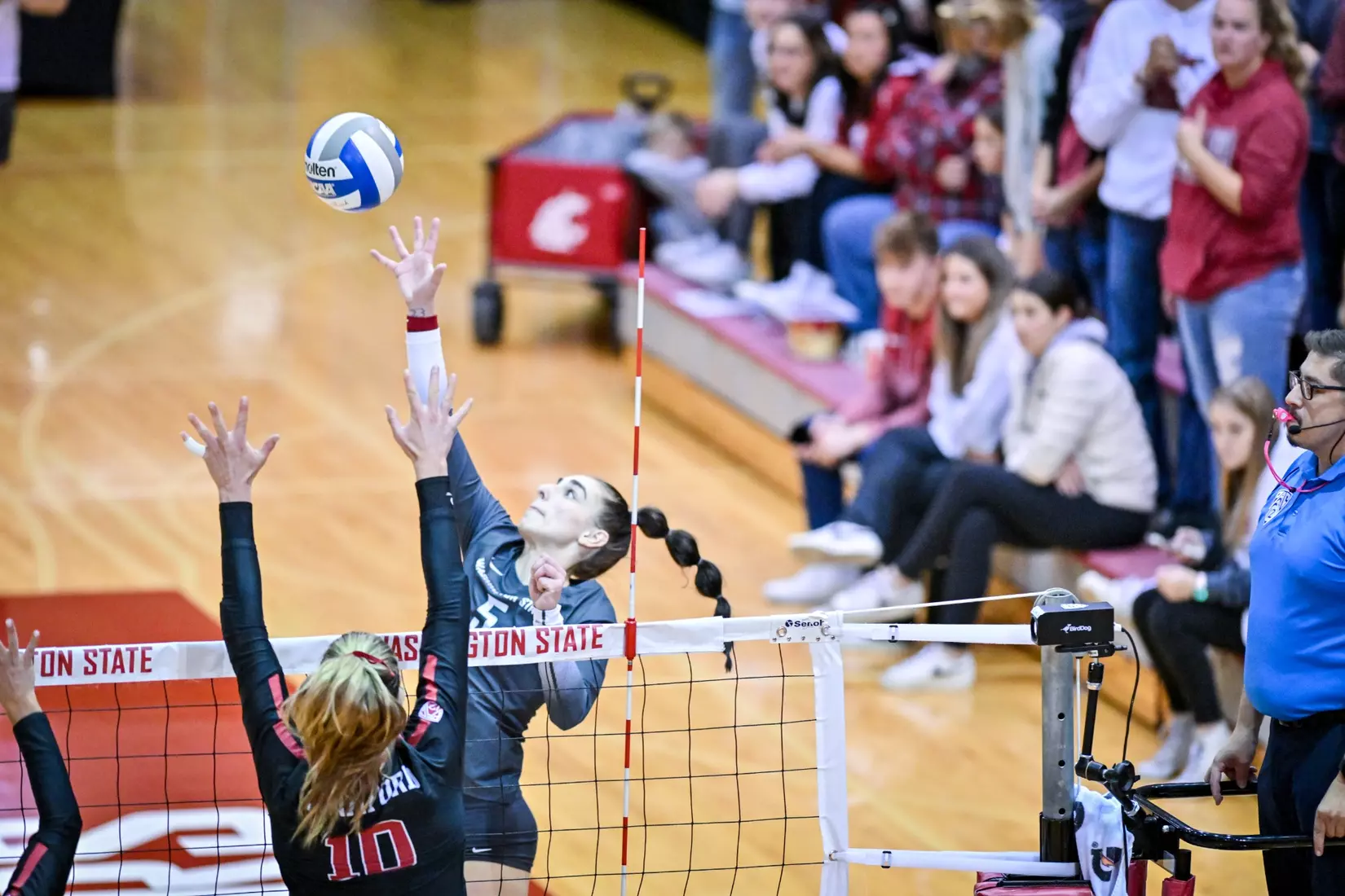 Washington State volleyball fell, 3-0, to eighth-ranked Stanford on Friday, Oct. 28, 2022, in Bohler Gym.