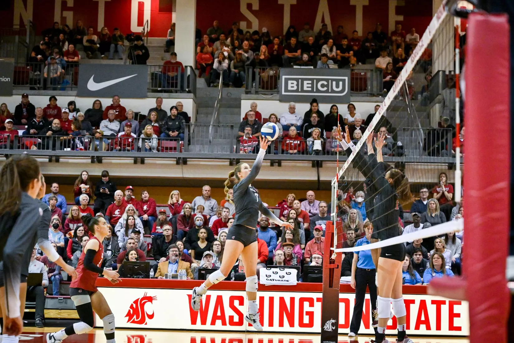 Washington State volleyball fell, 3-0, to eighth-ranked Stanford on Friday, Oct. 28, 2022, in Bohler Gym.