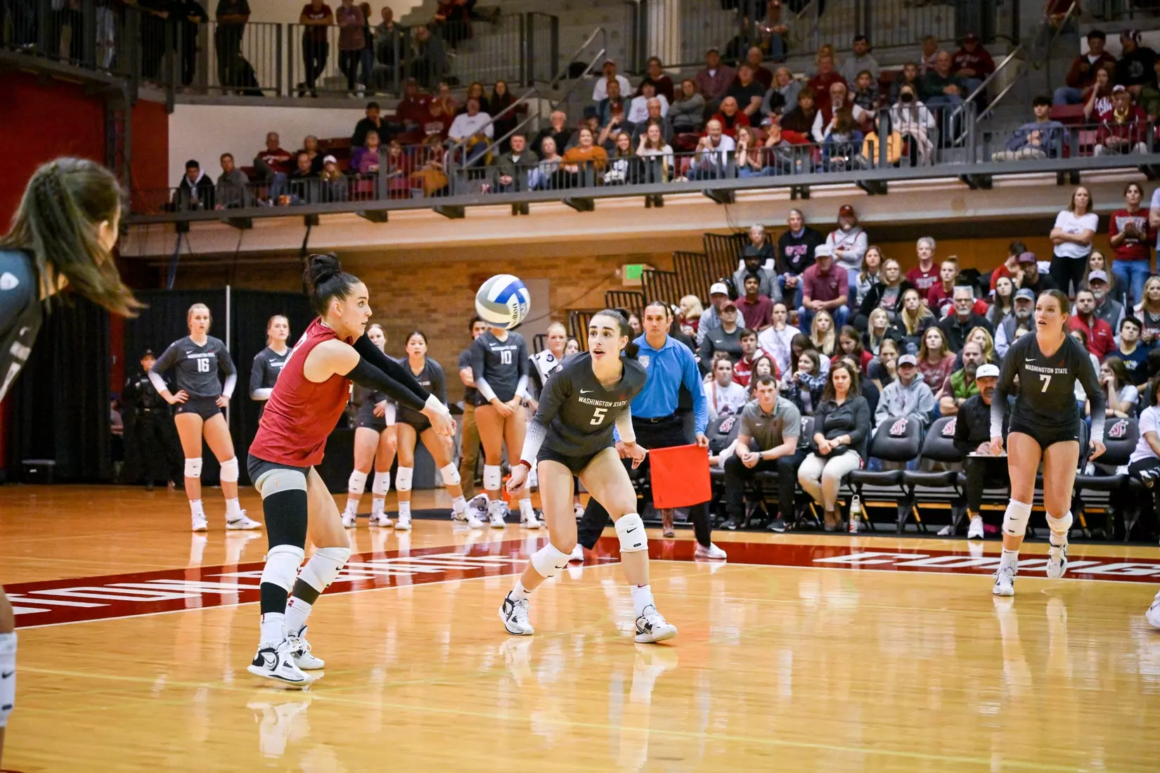 Washington State volleyball fell, 3-0, to eighth-ranked Stanford on Friday, Oct. 28, 2022, in Bohler Gym.