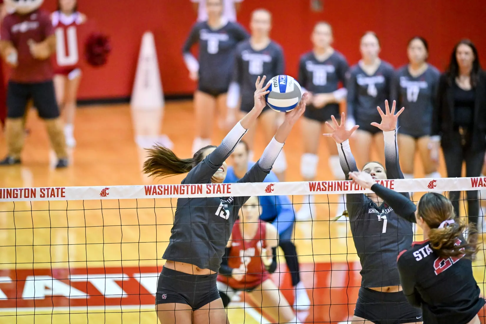 Washington State volleyball fell, 3-0, to eighth-ranked Stanford on Friday, Oct. 28, 2022, in Bohler Gym.
