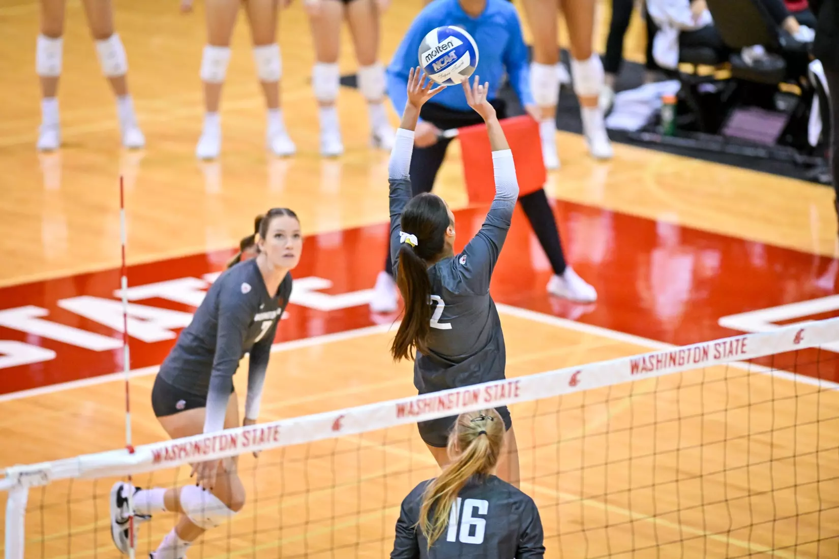 Washington State volleyball fell, 3-0, to eighth-ranked Stanford on Friday, Oct. 28, 2022, in Bohler Gym.