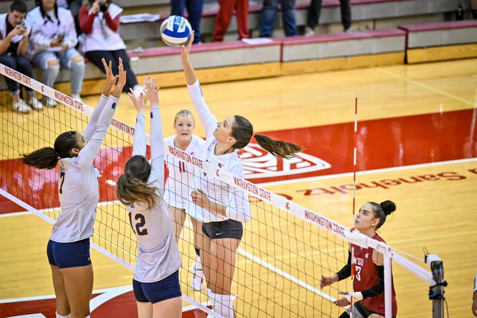 Washington State volleyball defeated Cal, 3-0, on Sunday, Oct. 30, in Bohler Gym.