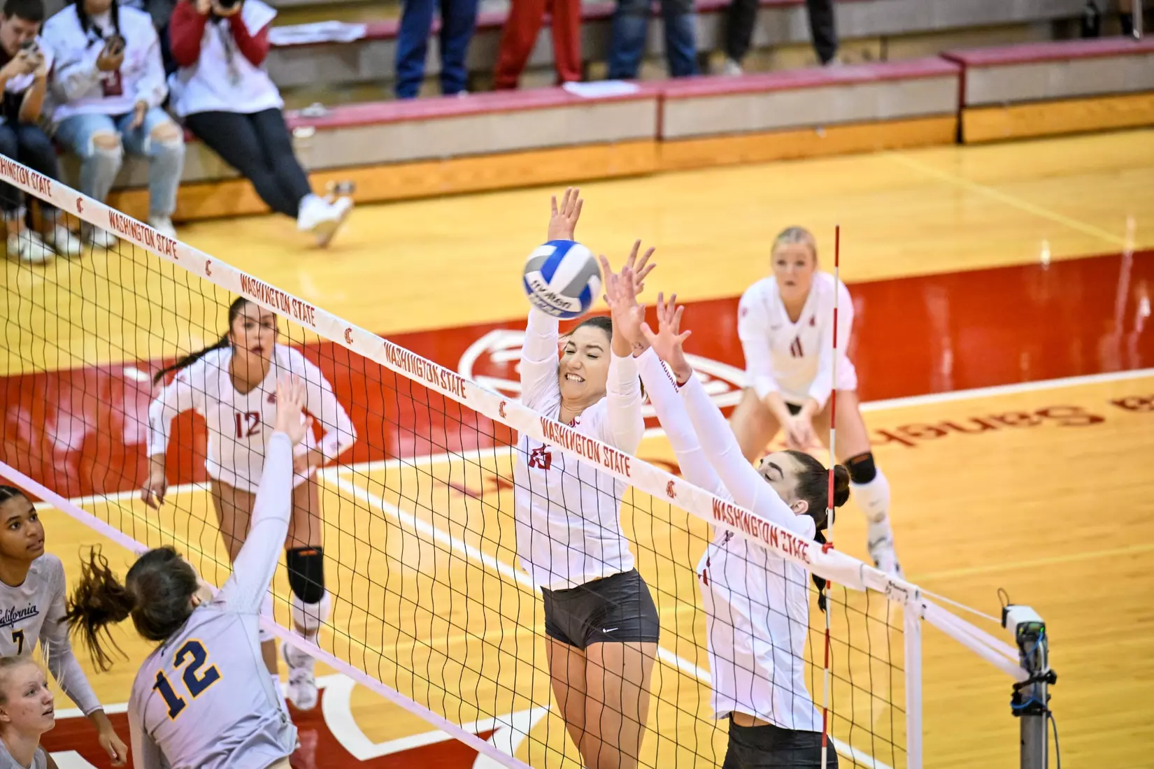 Washington State volleyball defeated Cal, 3-0, on Sunday, Oct. 30, in Bohler Gym.