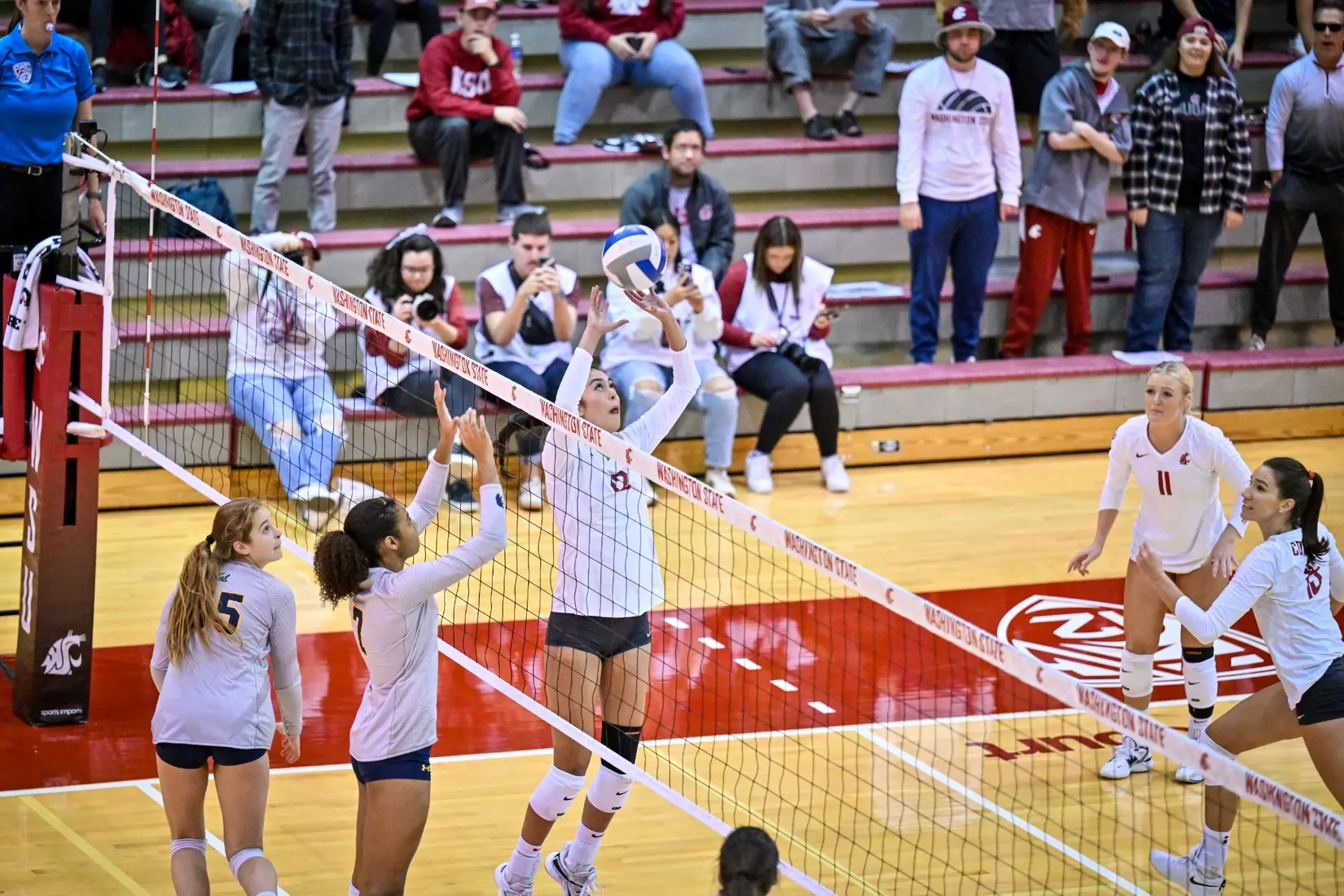Washington State volleyball defeated Cal, 3-0, on Sunday, Oct. 30, in Bohler Gym.