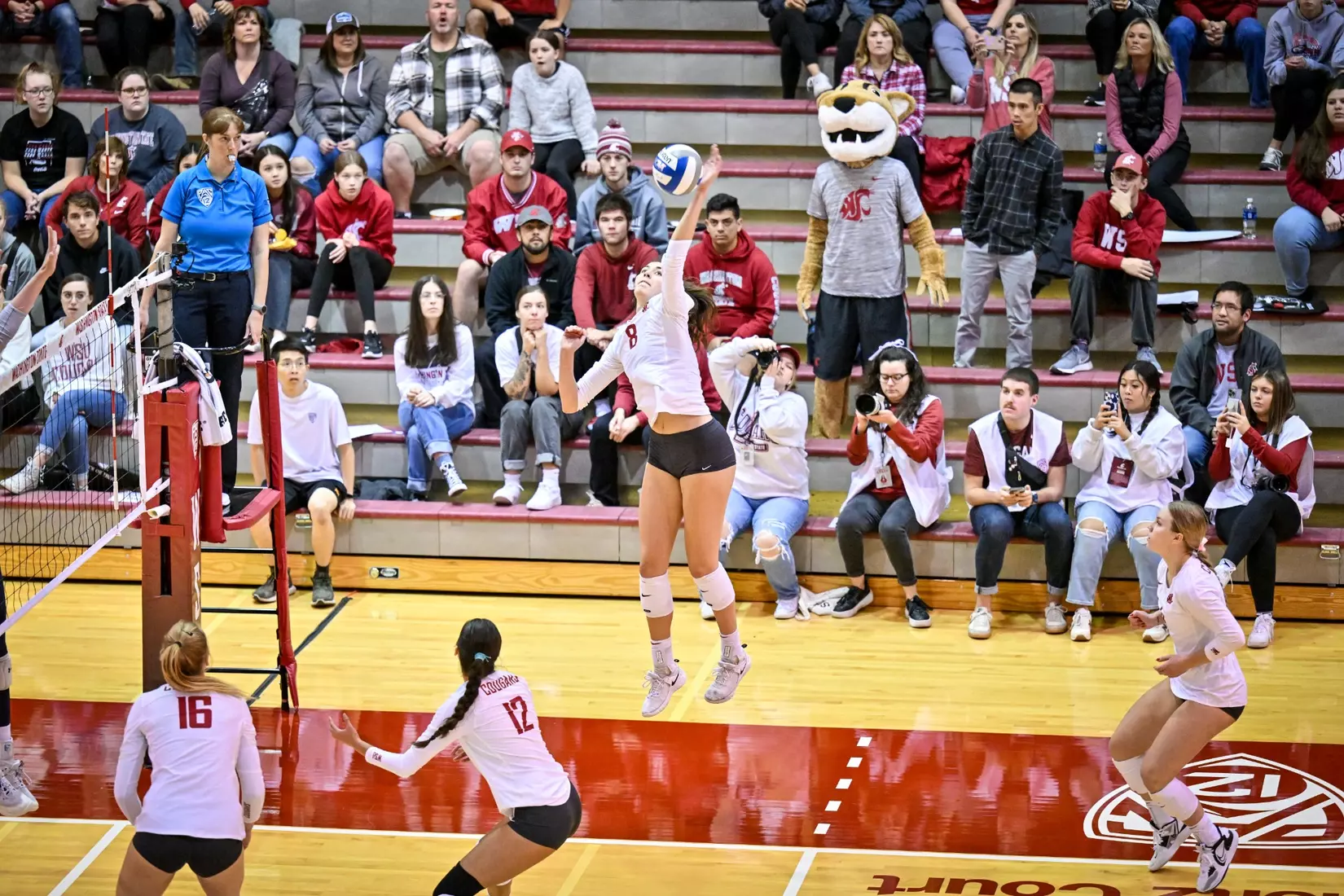 Washington State volleyball defeated Cal, 3-0, on Sunday, Oct. 30, in Bohler Gym.