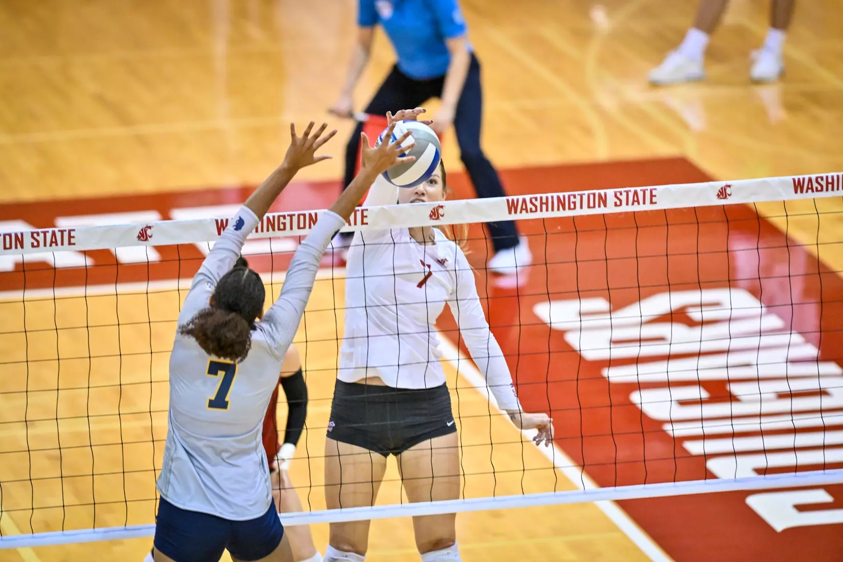 Washington State volleyball defeated Cal, 3-0, on Sunday, Oct. 30, in Bohler Gym.