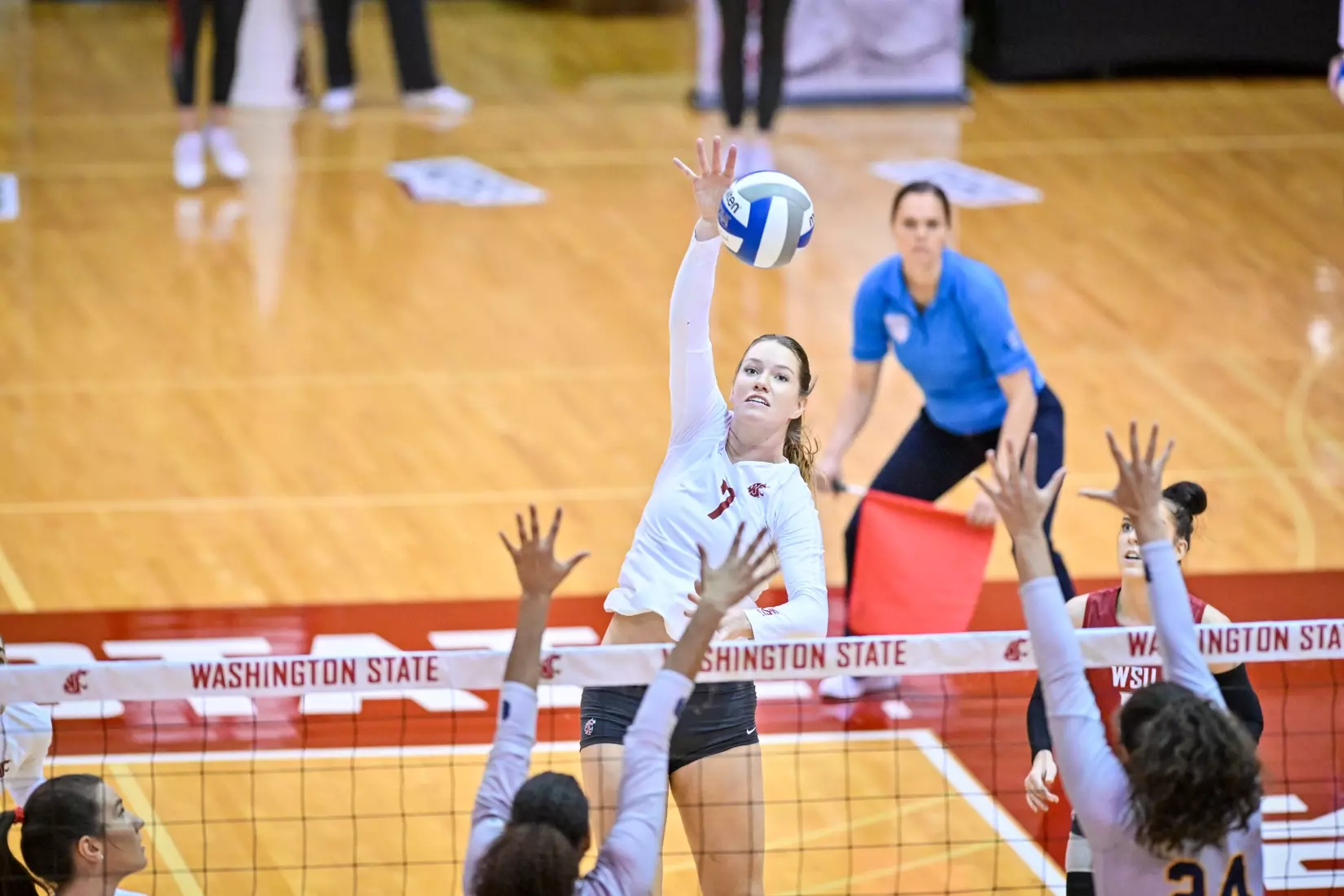 Washington State volleyball defeated Cal, 3-0, on Sunday, Oct. 30, in Bohler Gym.