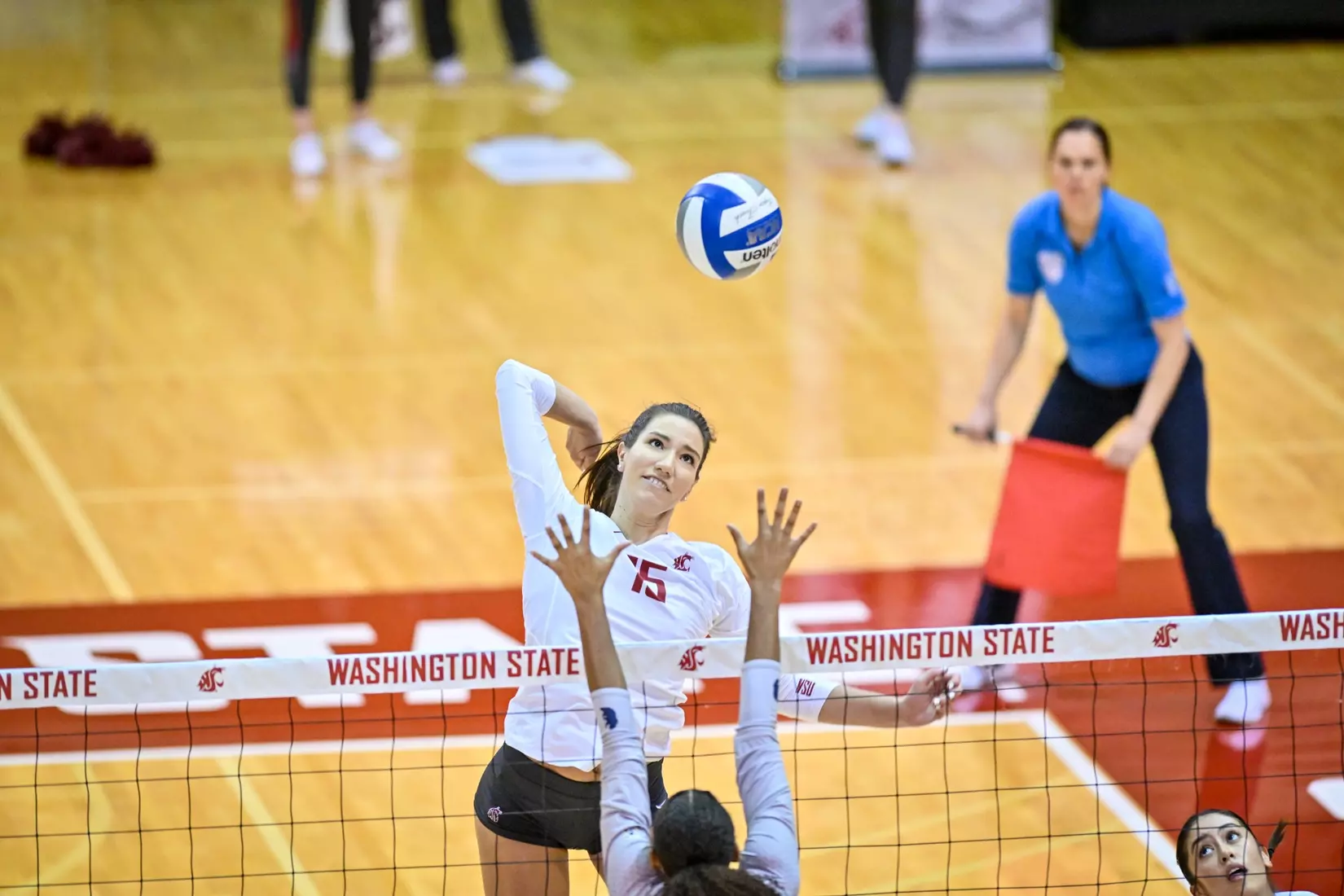 Washington State volleyball defeated Cal, 3-0, on Sunday, Oct. 30, in Bohler Gym.