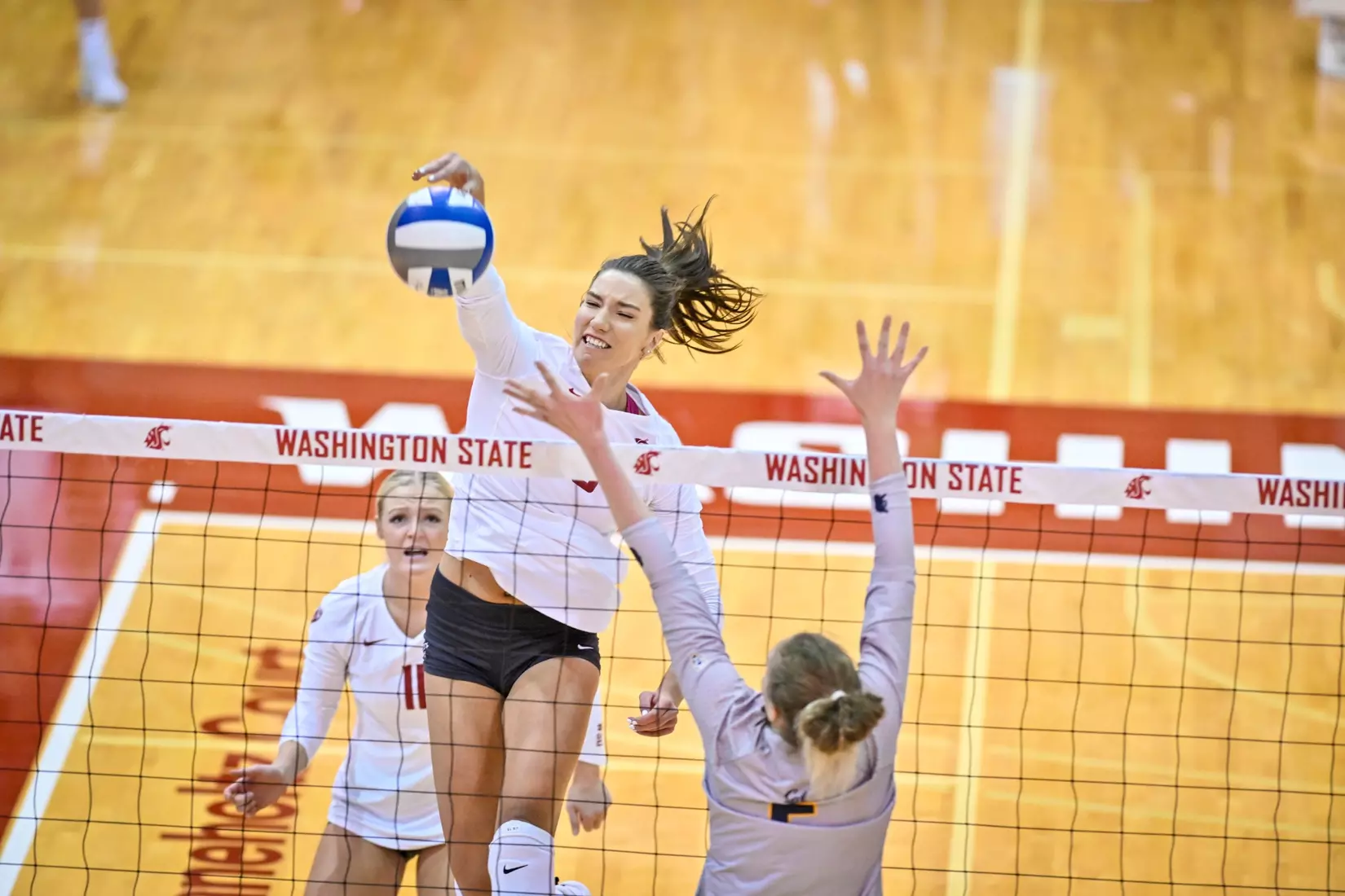 Washington State volleyball defeated Cal, 3-0, on Sunday, Oct. 30, in Bohler Gym.