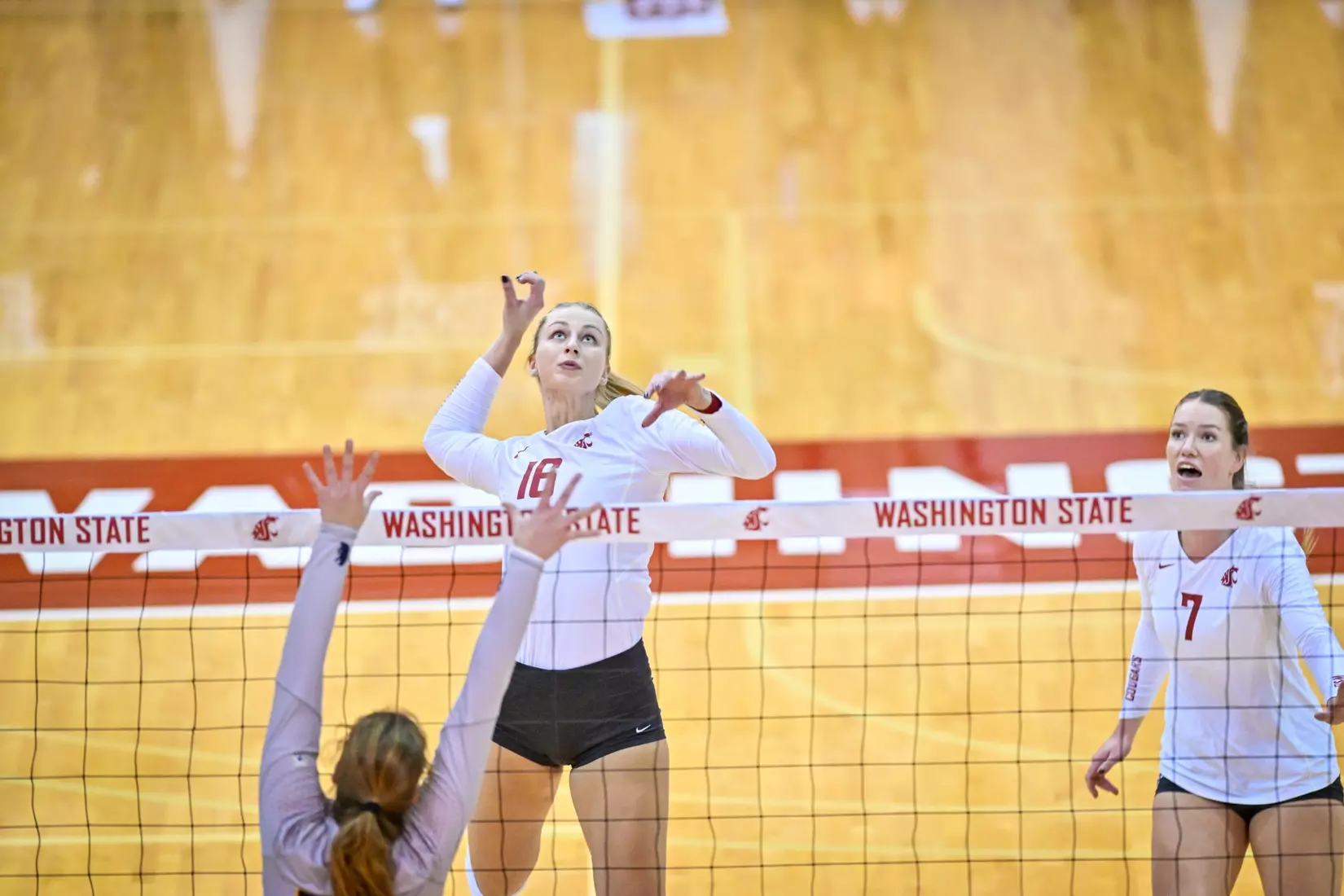 Washington State volleyball defeated Cal, 3-0, on Sunday, Oct. 30, in Bohler Gym.