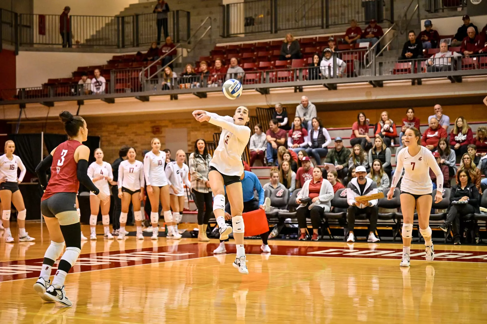 Washington State volleyball defeated Cal, 3-0, on Sunday, Oct. 30, in Bohler Gym.