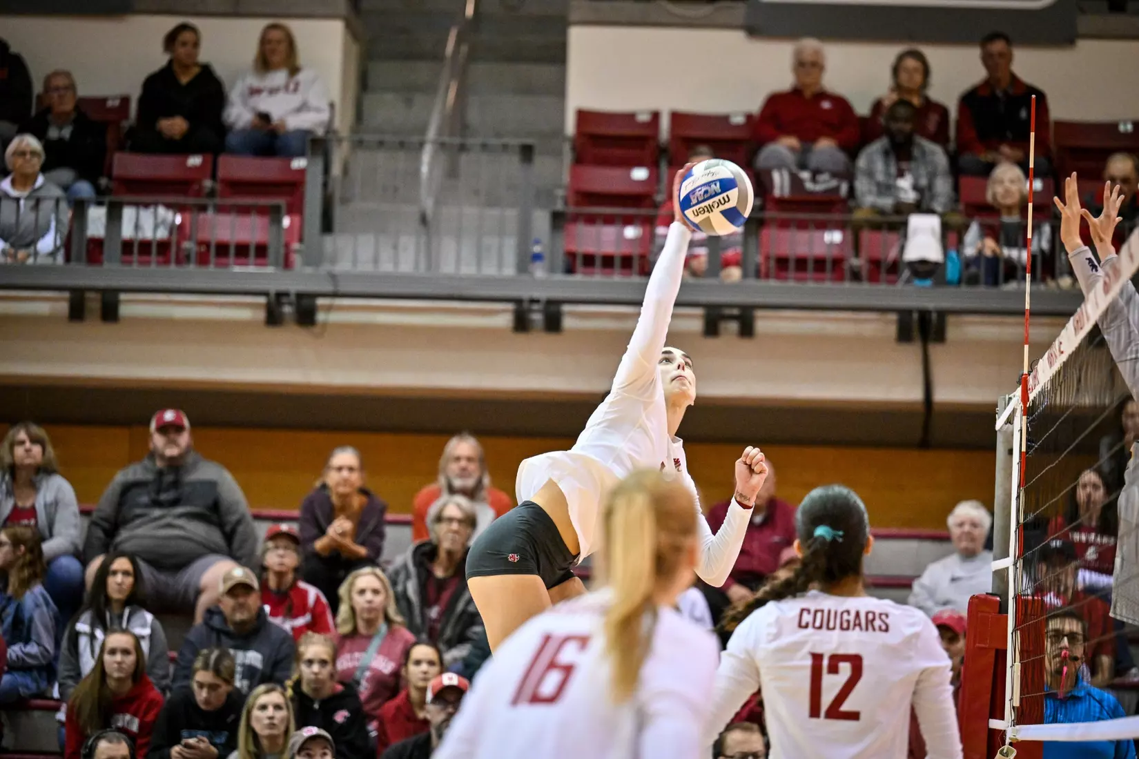 Washington State volleyball defeated Cal, 3-0, on Sunday, Oct. 30, in Bohler Gym.