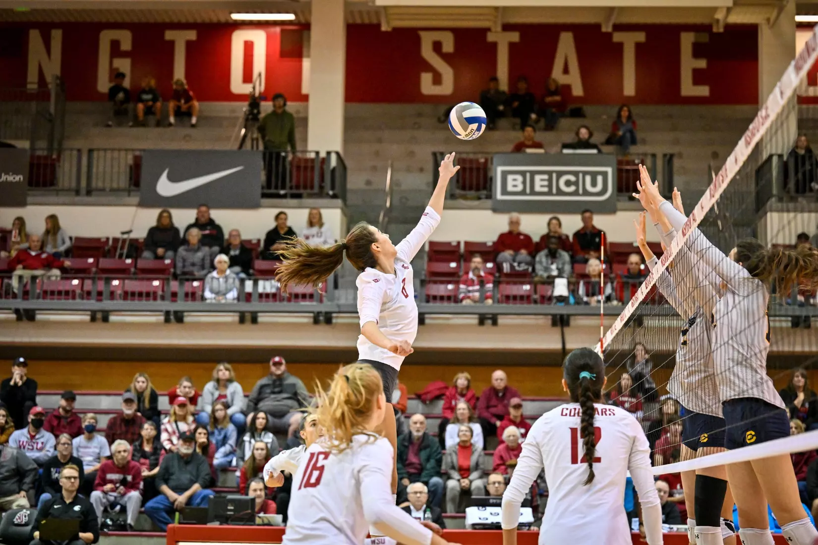 Washington State volleyball defeated Cal, 3-0, on Sunday, Oct. 30, in Bohler Gym.