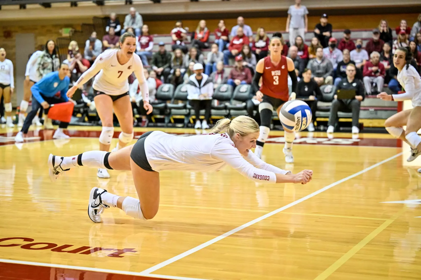 Washington State volleyball defeated Cal, 3-0, on Sunday, Oct. 30, in Bohler Gym.