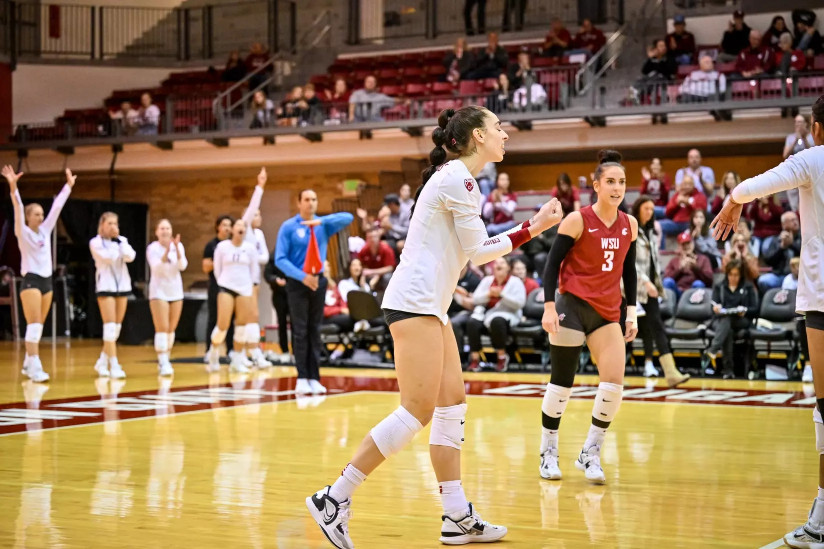 Washington State volleyball defeated Cal, 3-0, on Sunday, Oct. 30, in Bohler Gym.