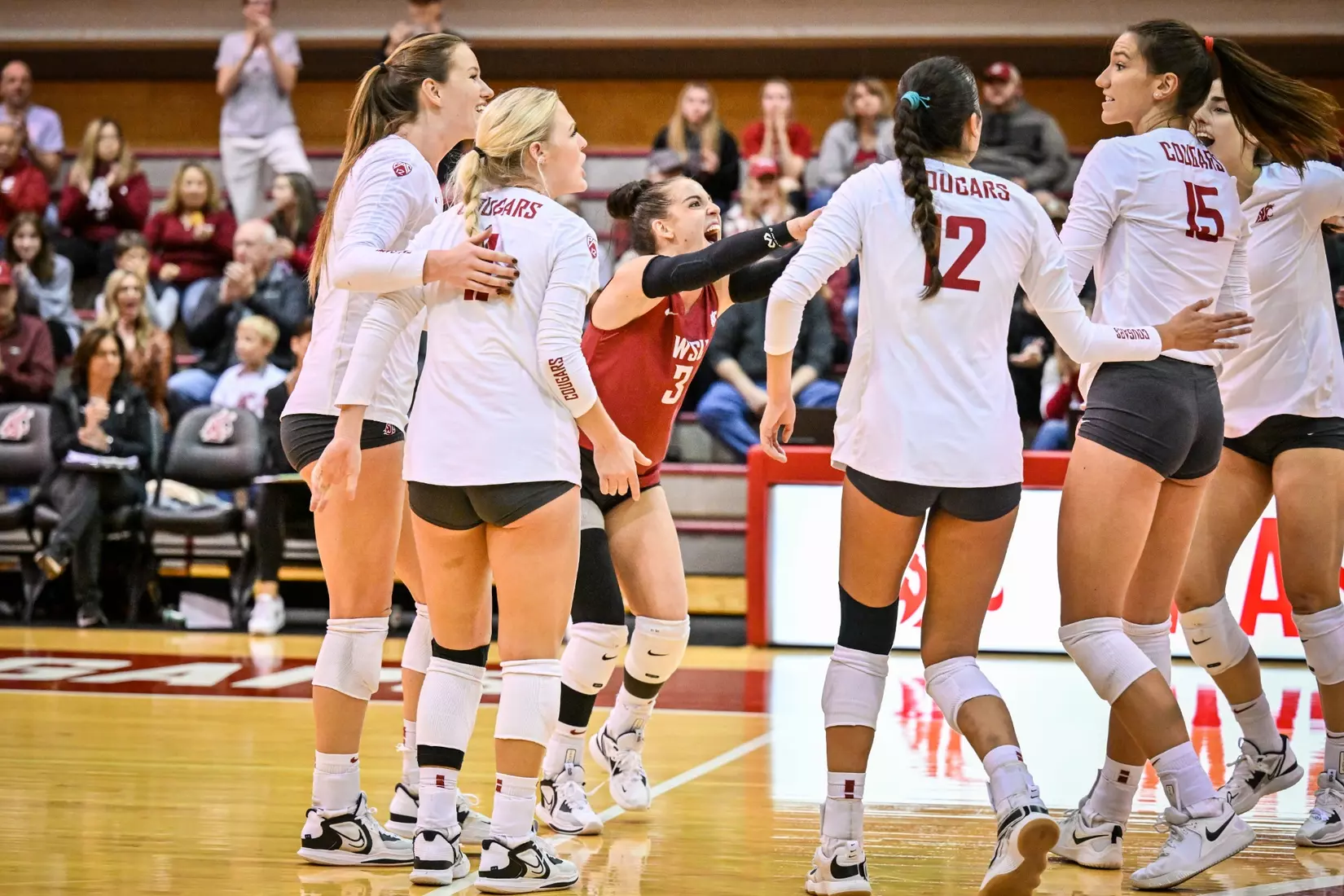 Washington State volleyball defeated Cal, 3-0, on Sunday, Oct. 30, in Bohler Gym.