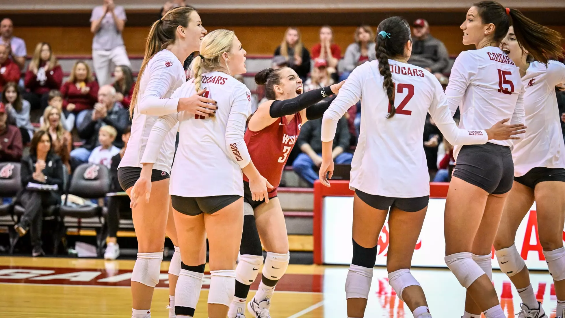 Washington State volleyball defeated Cal, 3-0, on Sunday, Oct. 30, in Bohler Gym.