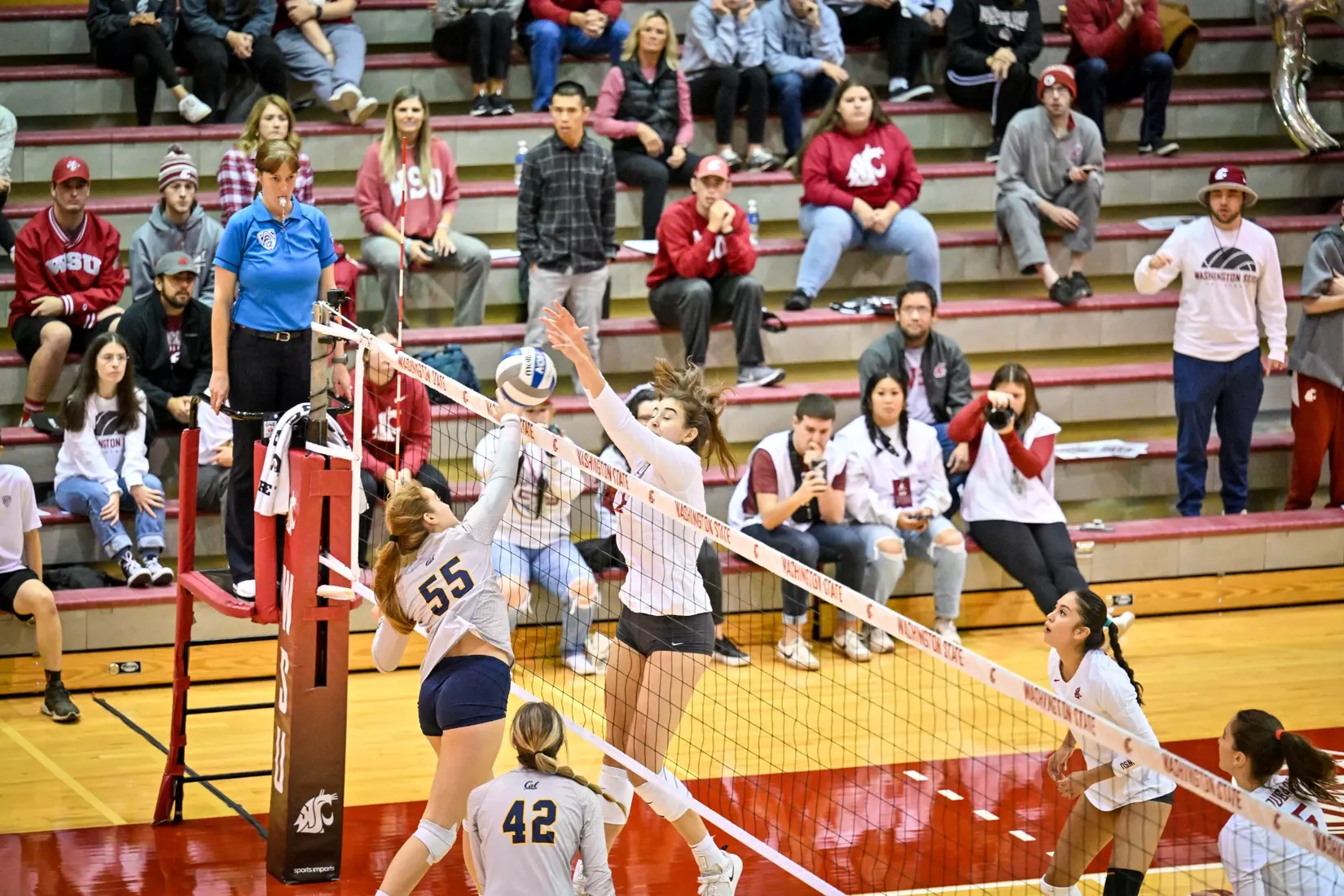 Washington State volleyball defeated Cal, 3-0, on Sunday, Oct. 30, in Bohler Gym.