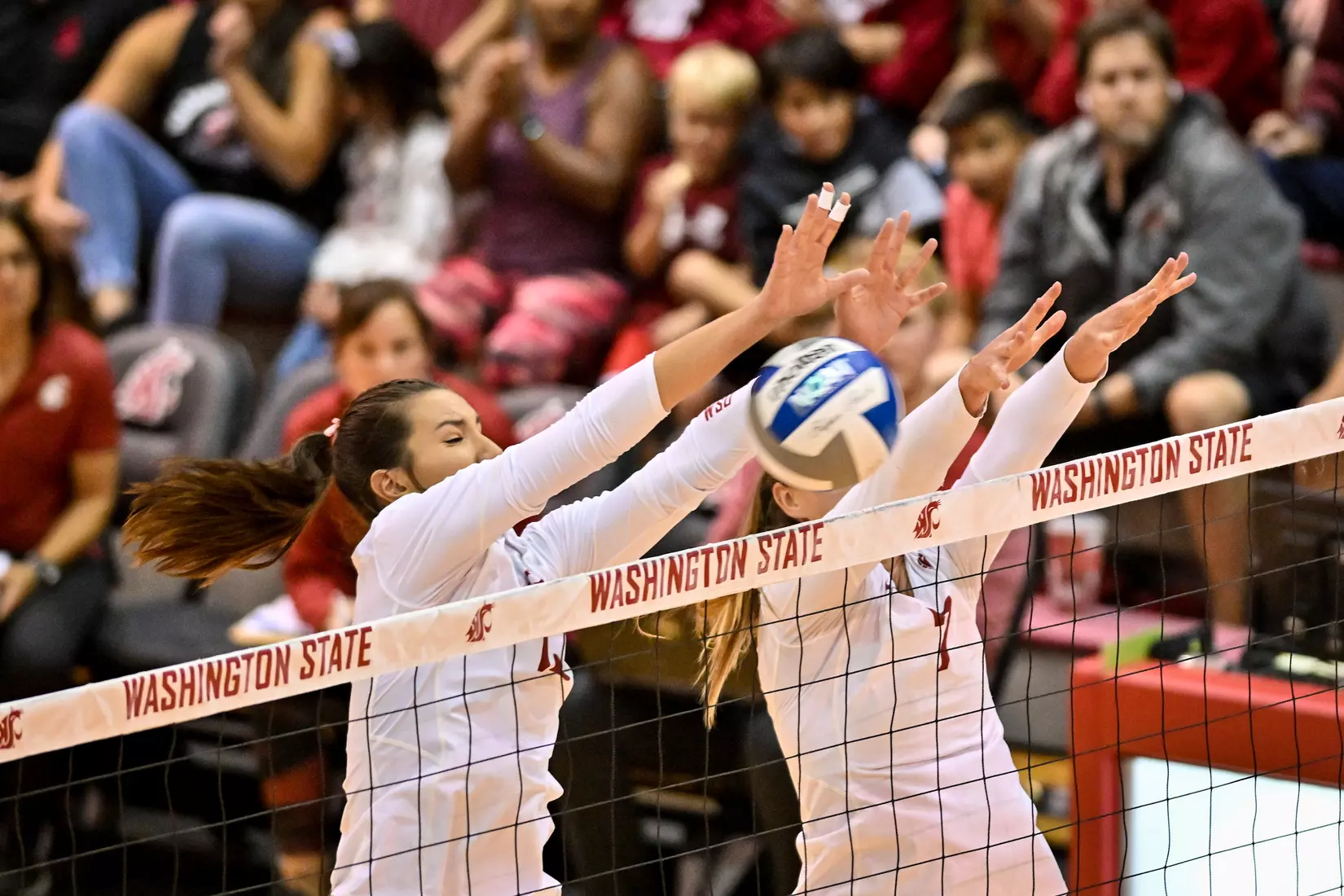 WSU defeats No. 12 Oregon, 3-0, on Oct. 7, 2022, at Bohler Gym