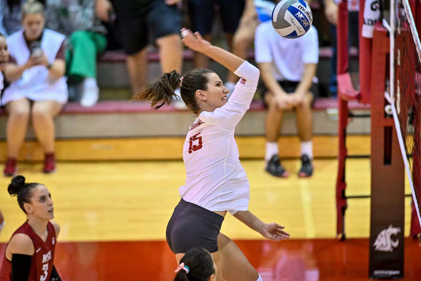 WSU defeats No. 12 Oregon, 3-0, on Oct. 7, 2022, at Bohler Gym
