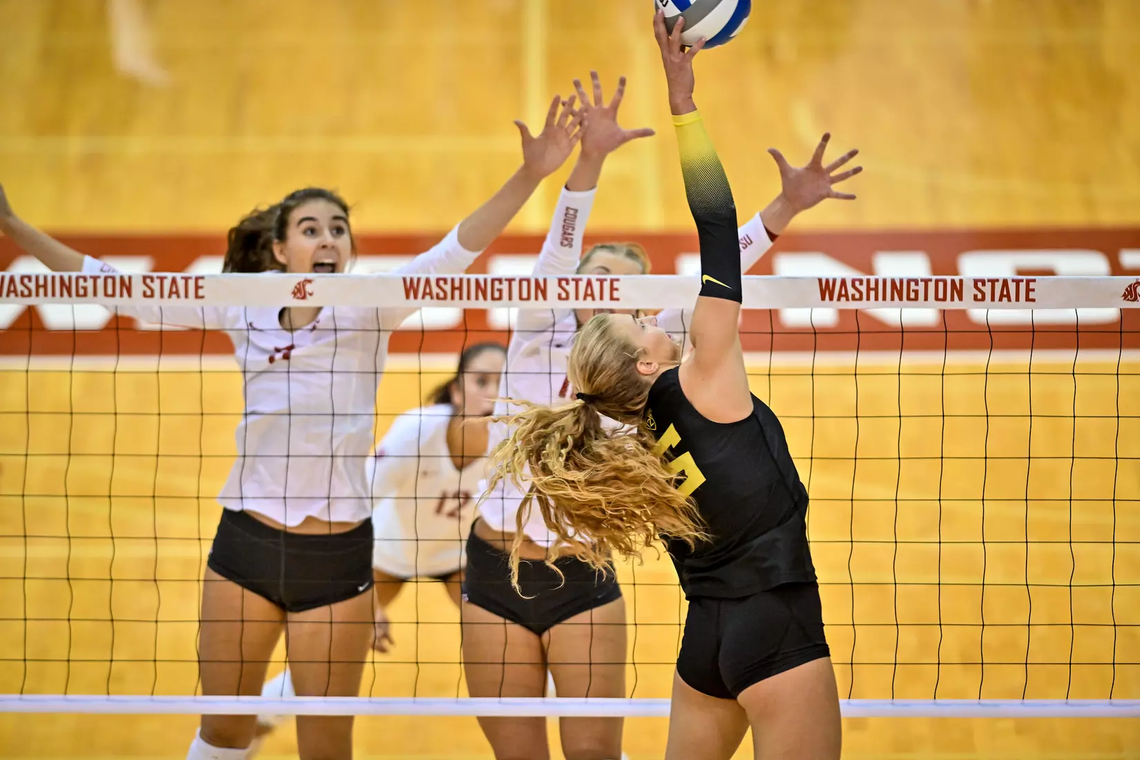 WSU defeats No. 12 Oregon, 3-0, on Oct. 7, 2022, at Bohler Gym