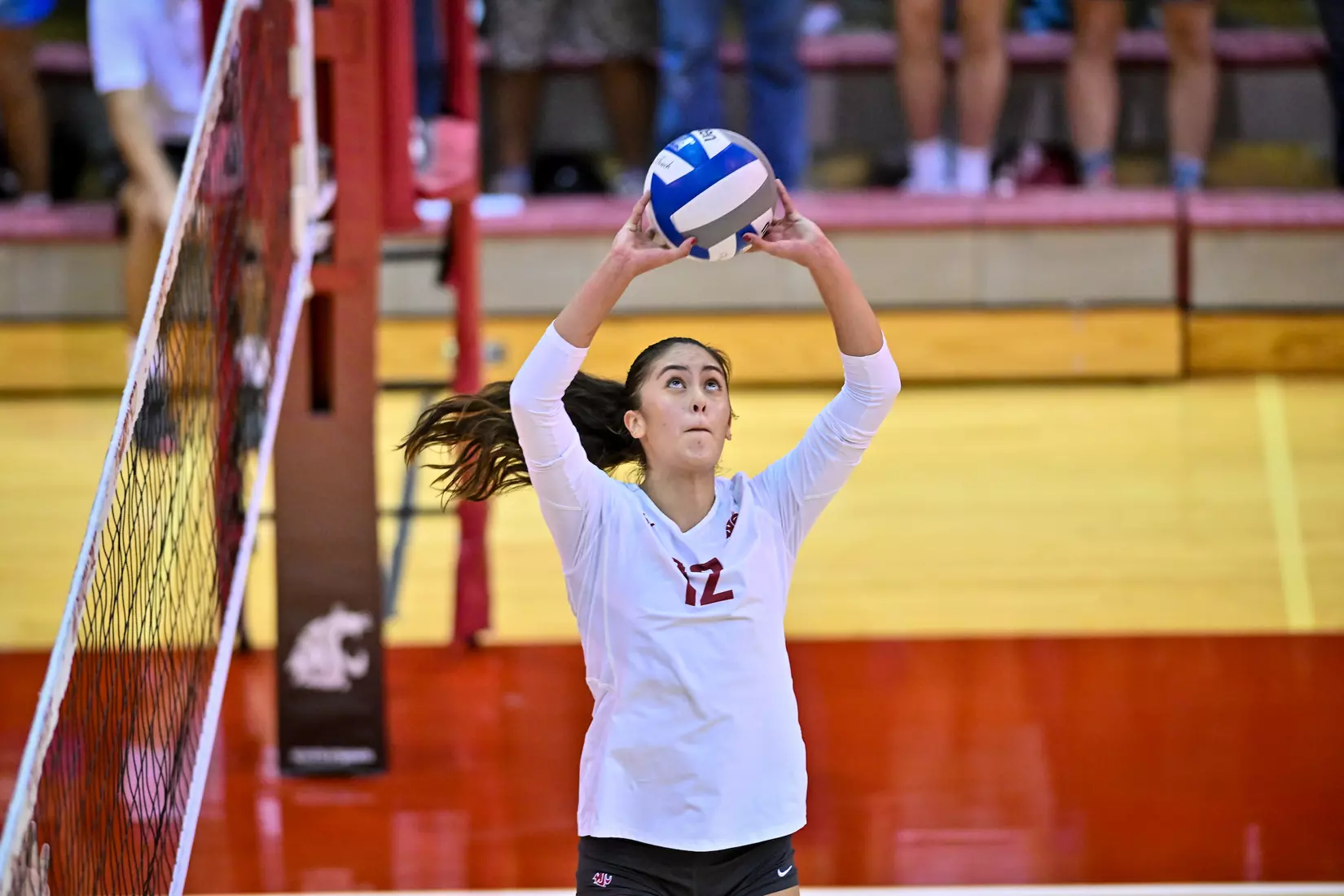 WSU defeats No. 12 Oregon, 3-0, on Oct. 7, 2022, at Bohler Gym