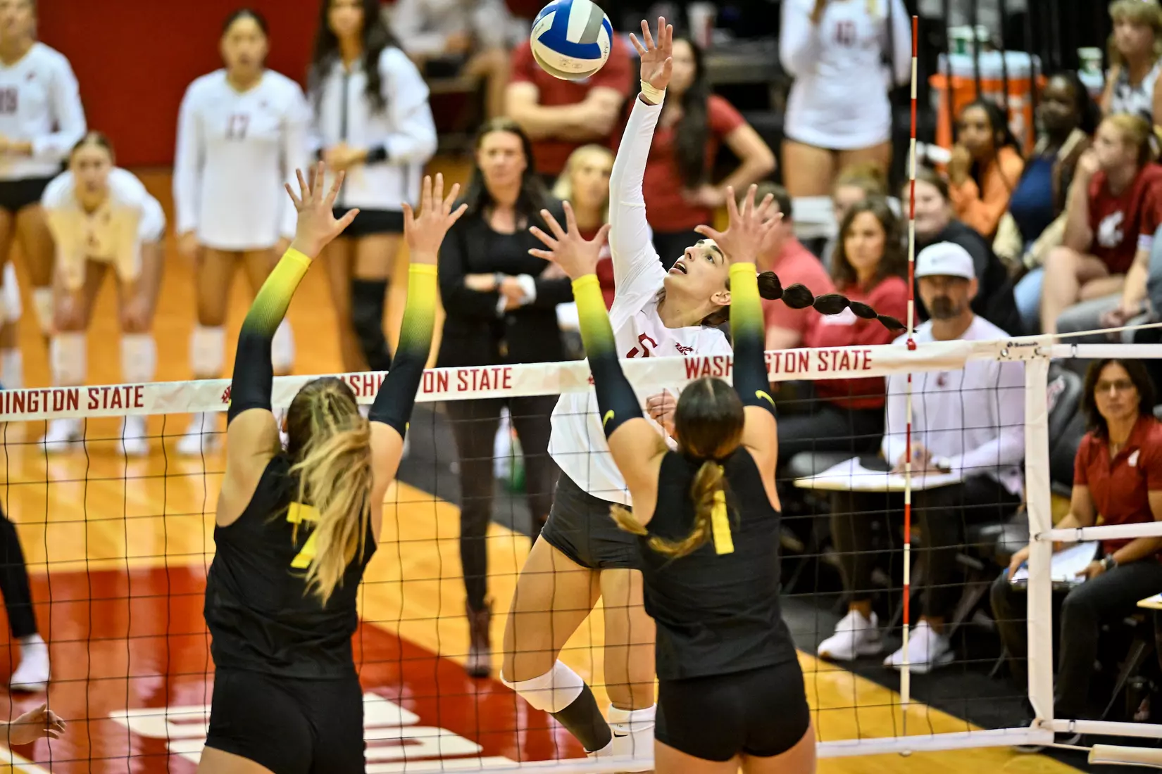 WSU defeats No. 12 Oregon, 3-0, on Oct. 7, 2022, at Bohler Gym