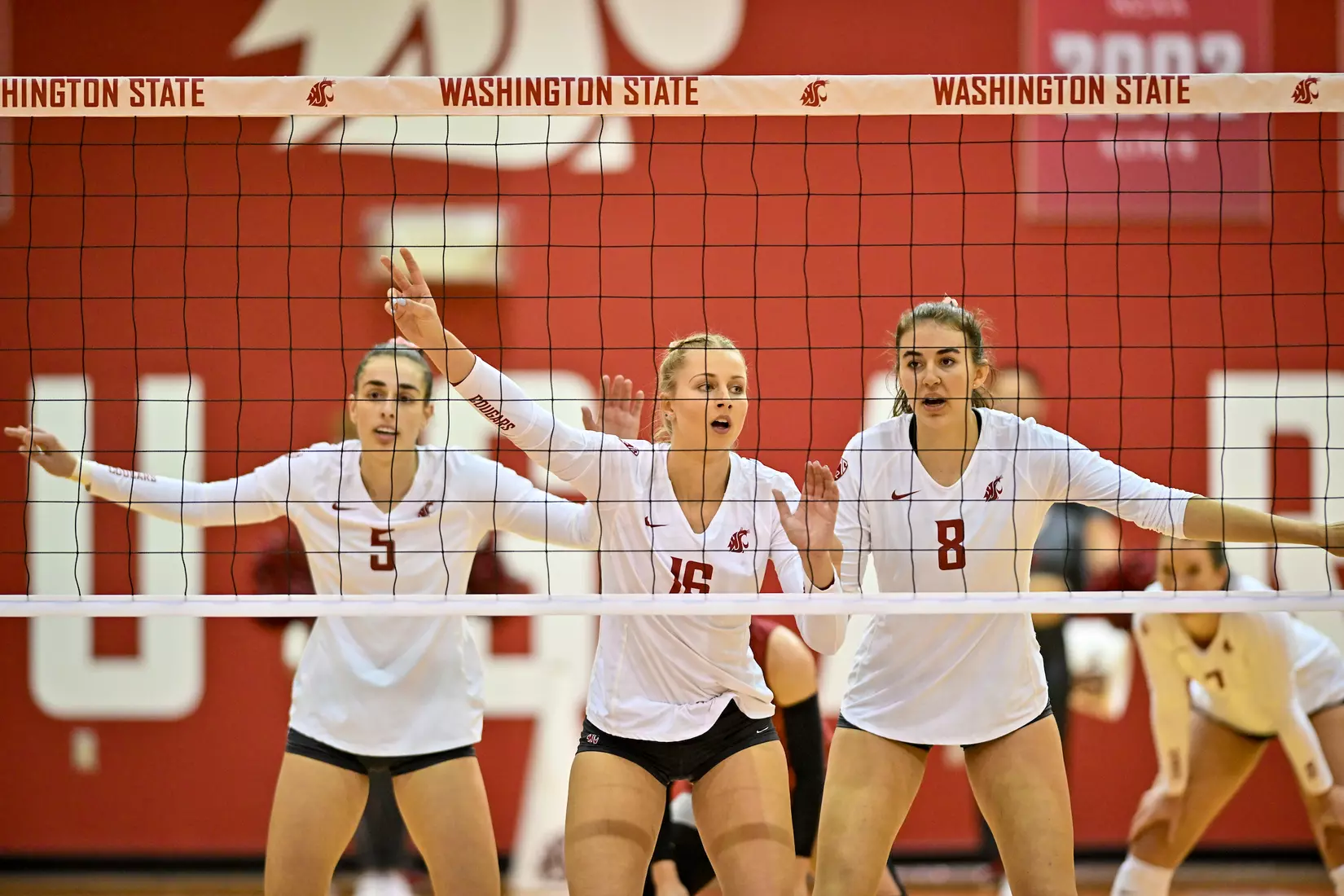 WSU defeats No. 12 Oregon, 3-0, on Oct. 7, 2022, at Bohler Gym