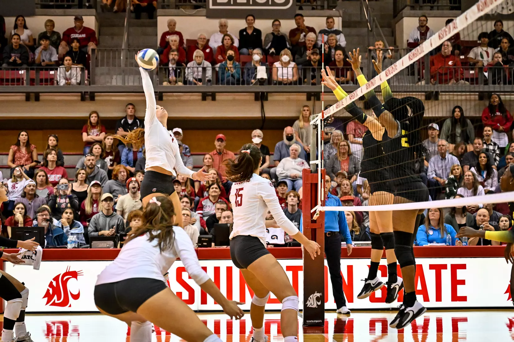 WSU defeats No. 12 Oregon, 3-0, on Oct. 7, 2022, at Bohler Gym