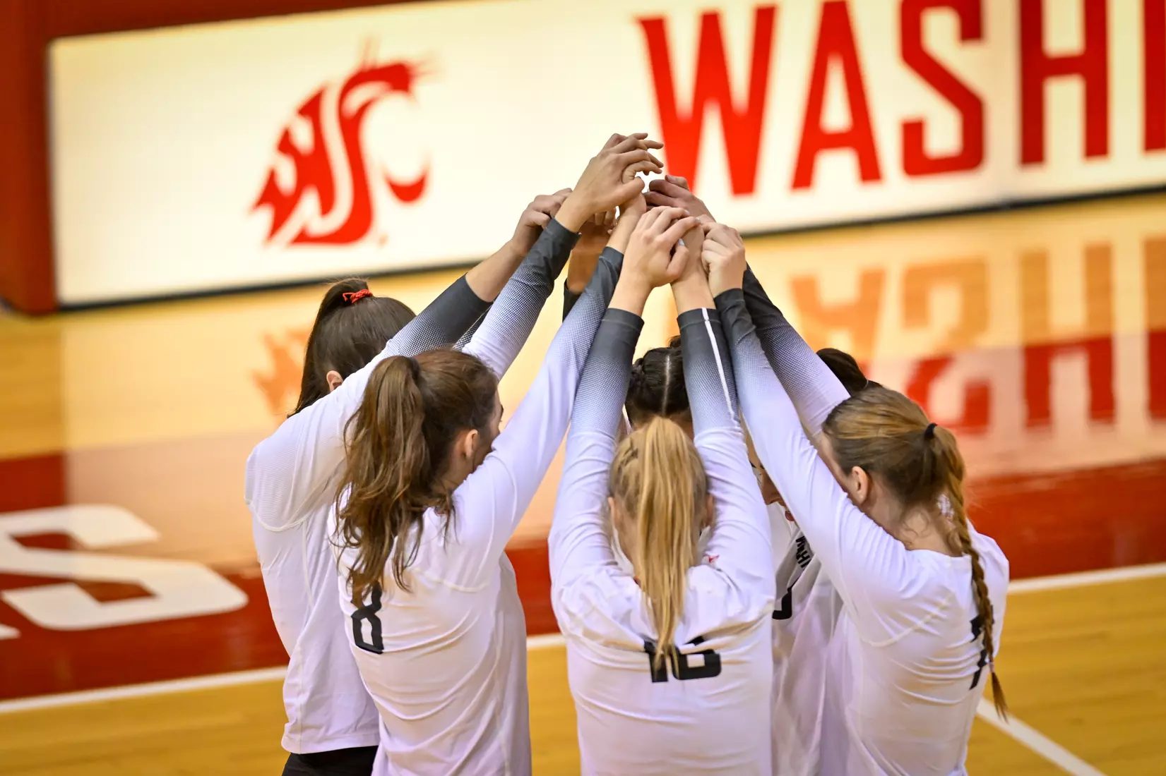 Washington State defeated Oregon State, 3-0, on Sunday, Oct. 9, in Bohler Gym.