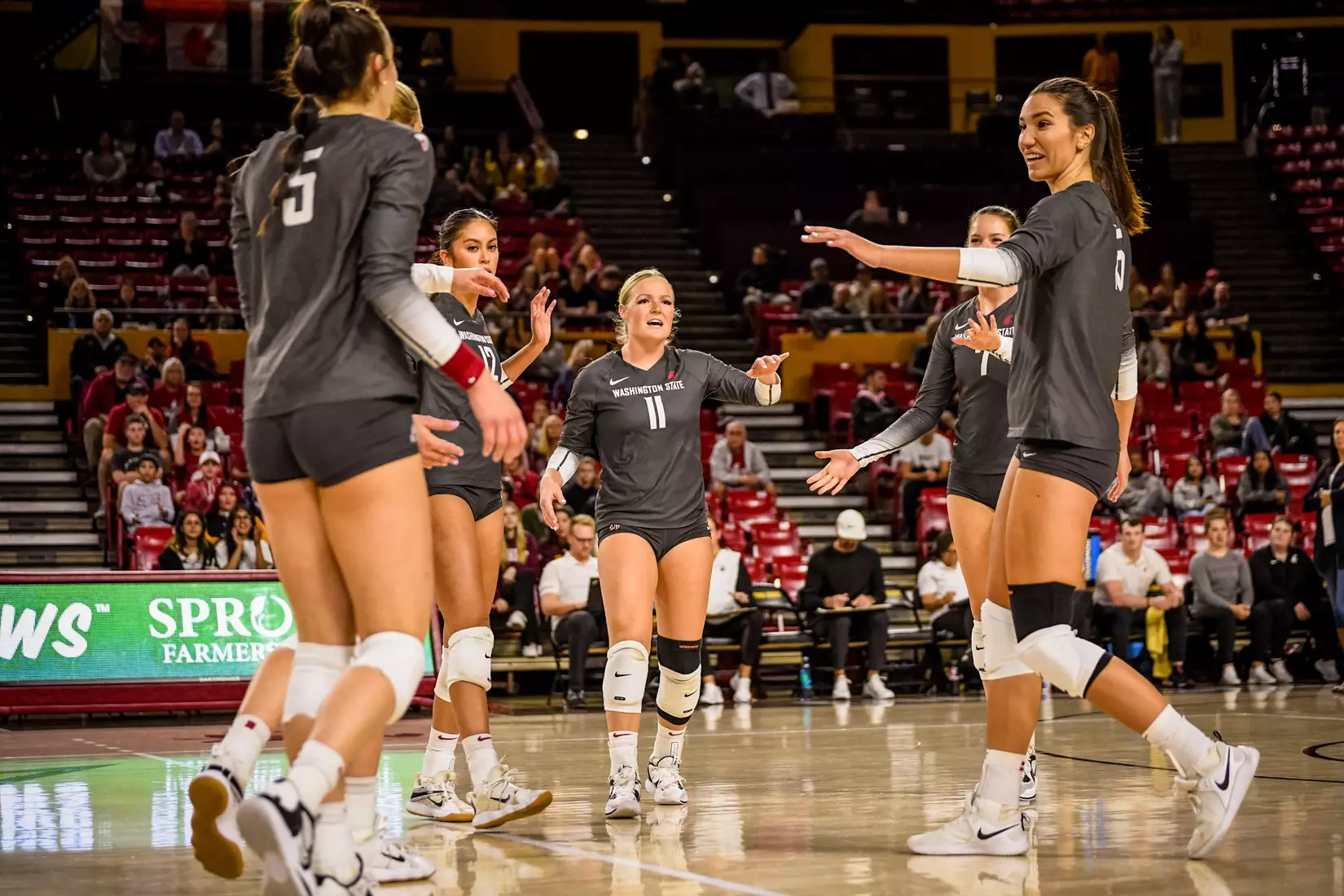 Washington State volleyball defeated Arizona State, 3-0, on Friday, Nov. 11, 2022, at Desert Financial Arena in Tempe, Ariz.