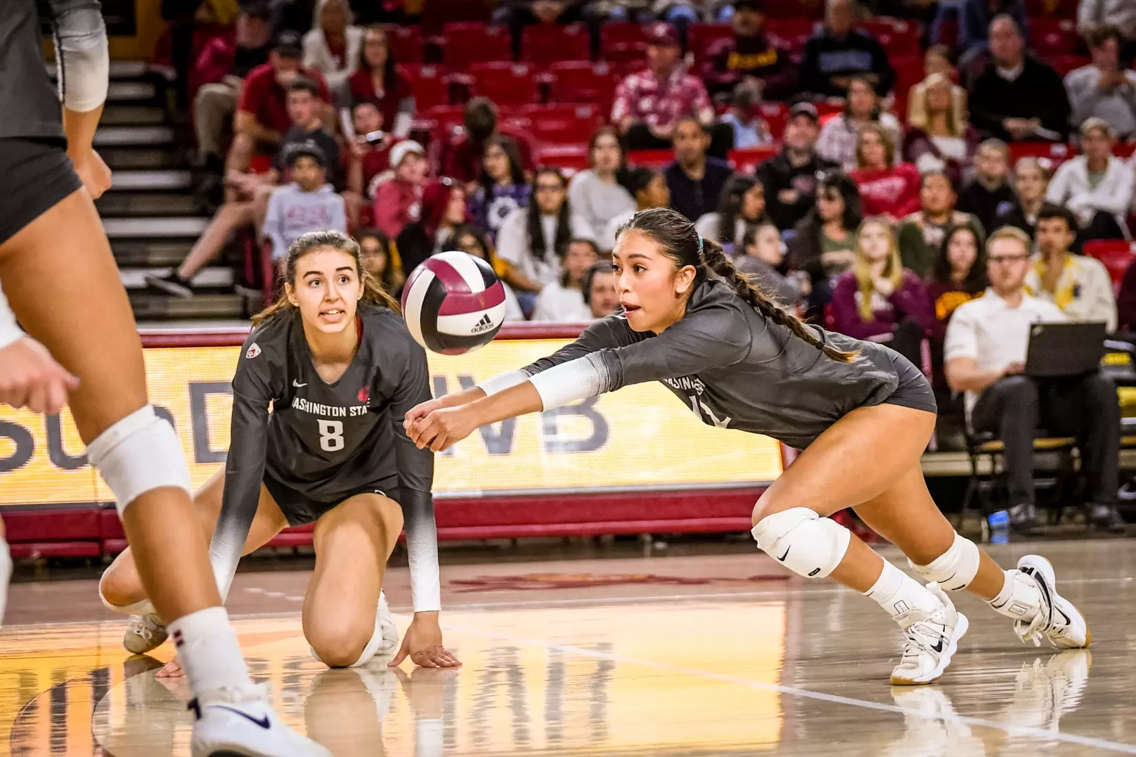 Washington State volleyball defeated Arizona State, 3-0, on Friday, Nov. 11, 2022, at Desert Financial Arena in Tempe, Ariz.