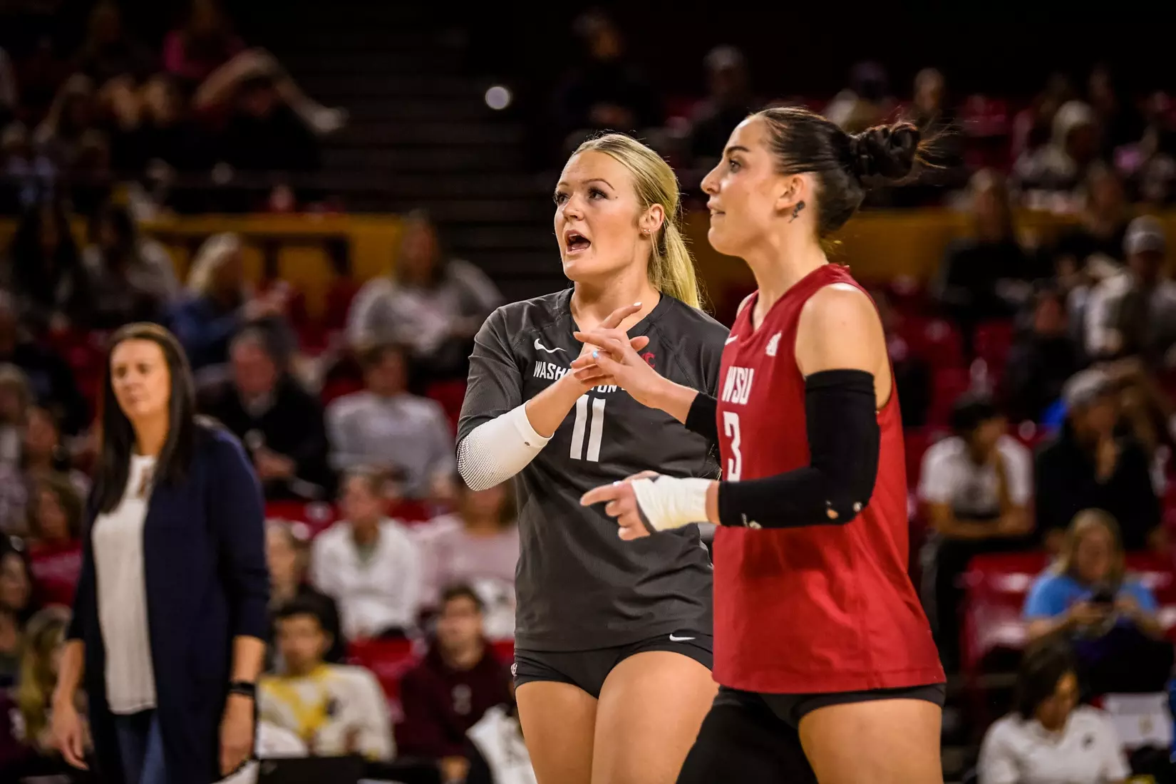 Washington State volleyball defeated Arizona State, 3-0, on Friday, Nov. 11, 2022, at Desert Financial Arena in Tempe, Ariz.