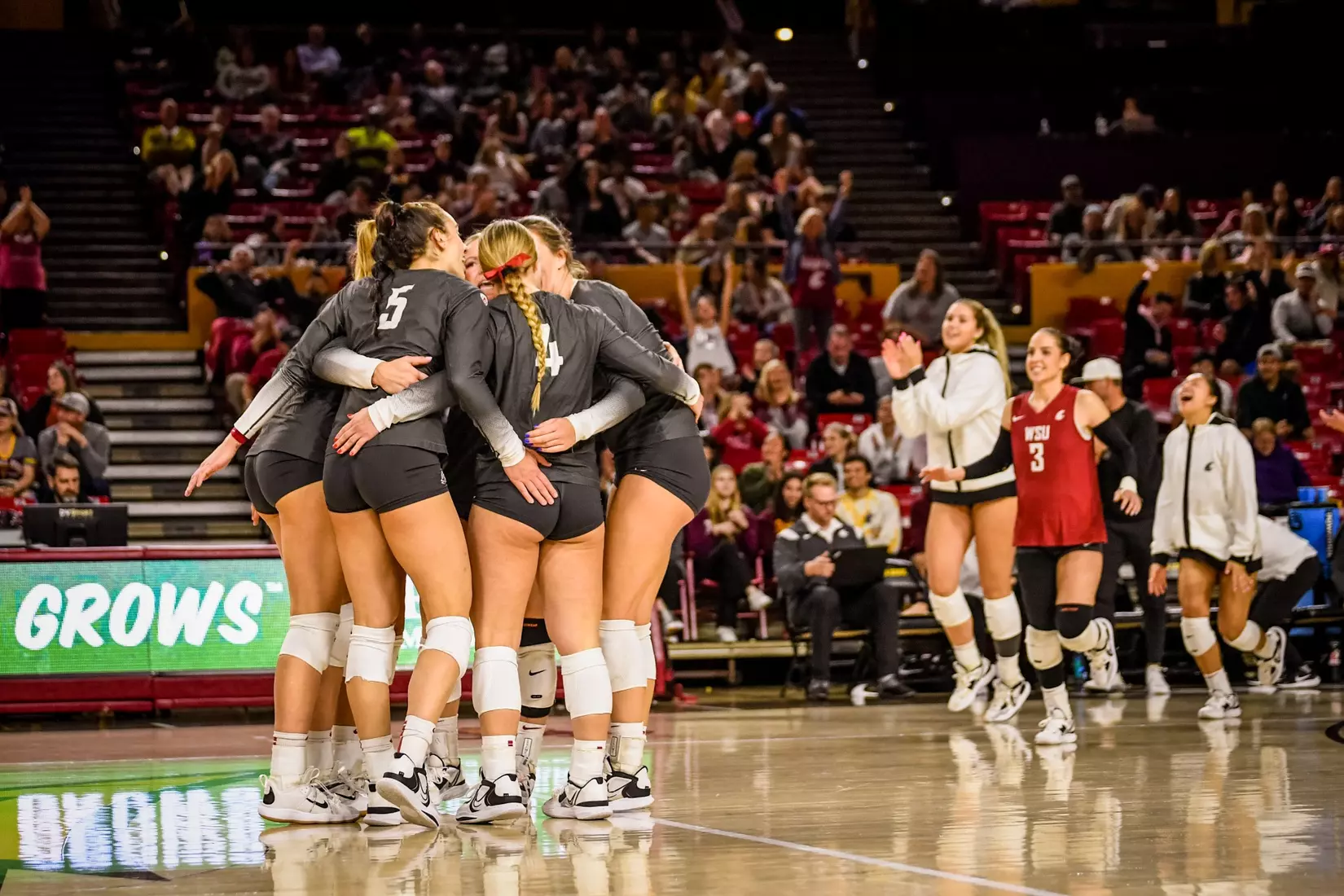Washington State volleyball defeated Arizona State, 3-0, on Friday, Nov. 11, 2022, at Desert Financial Arena in Tempe, Ariz.