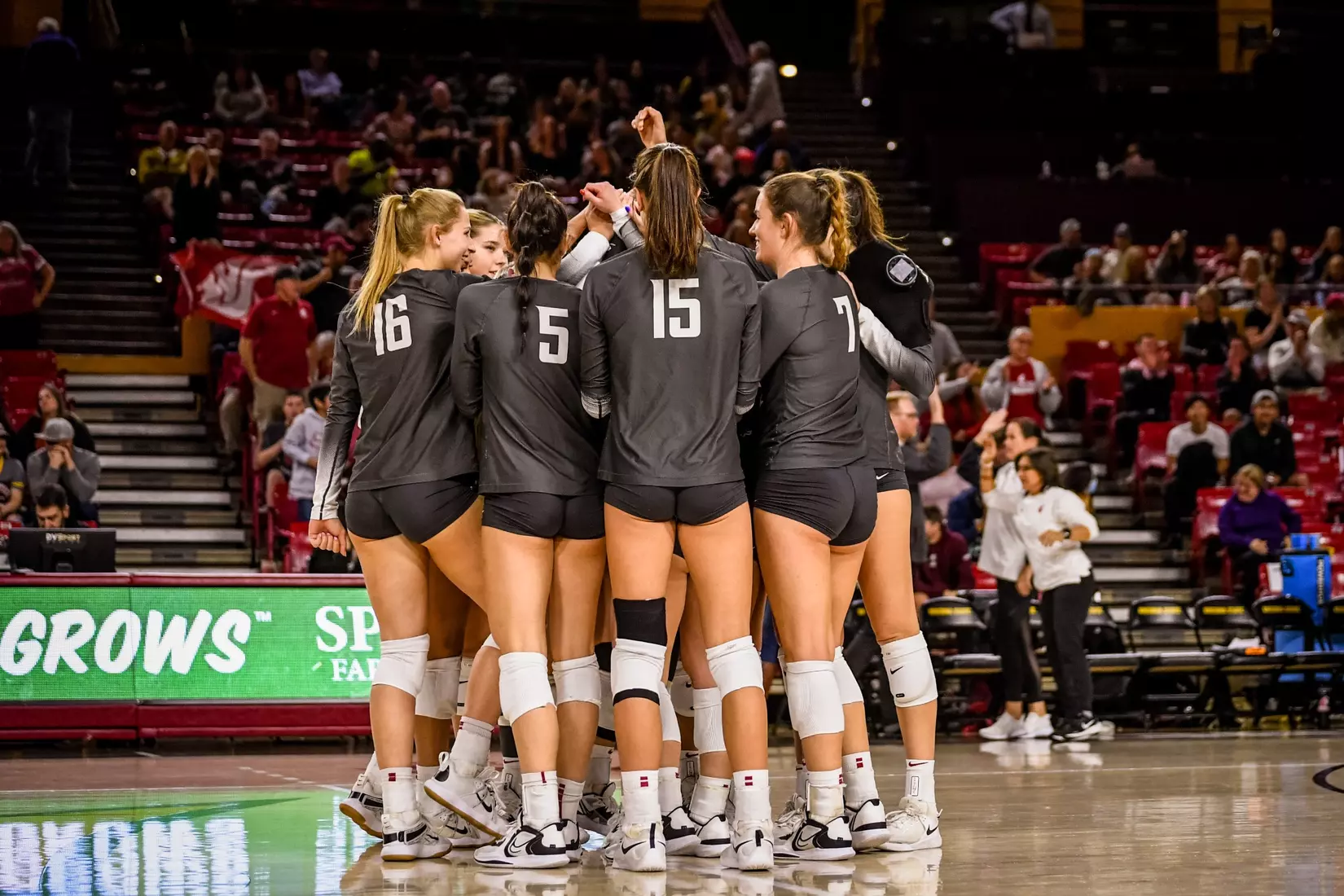 Washington State volleyball defeated Arizona State, 3-0, on Friday, Nov. 11, 2022, at Desert Financial Arena in Tempe, Ariz.