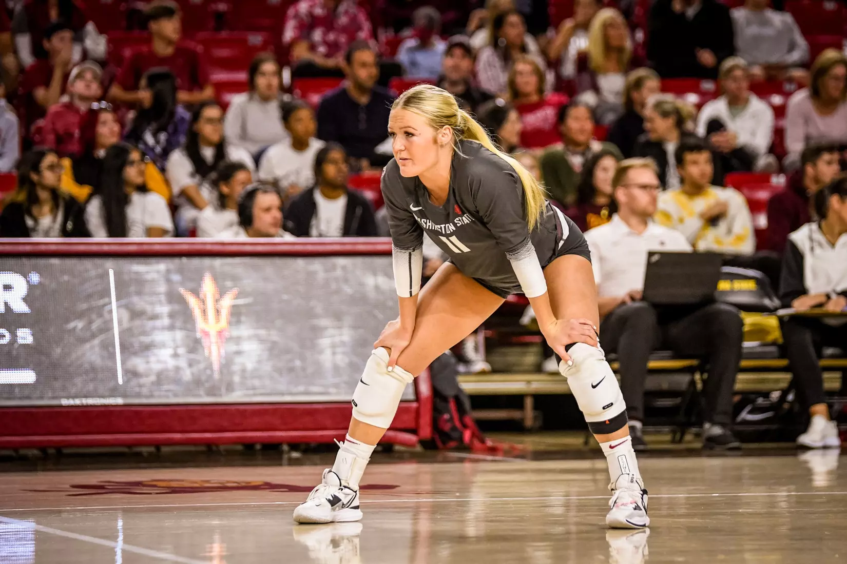 Washington State volleyball defeated Arizona State, 3-0, on Friday, Nov. 11, 2022, at Desert Financial Arena in Tempe, Ariz.