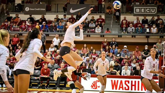 JansenLaura_vb_homepage