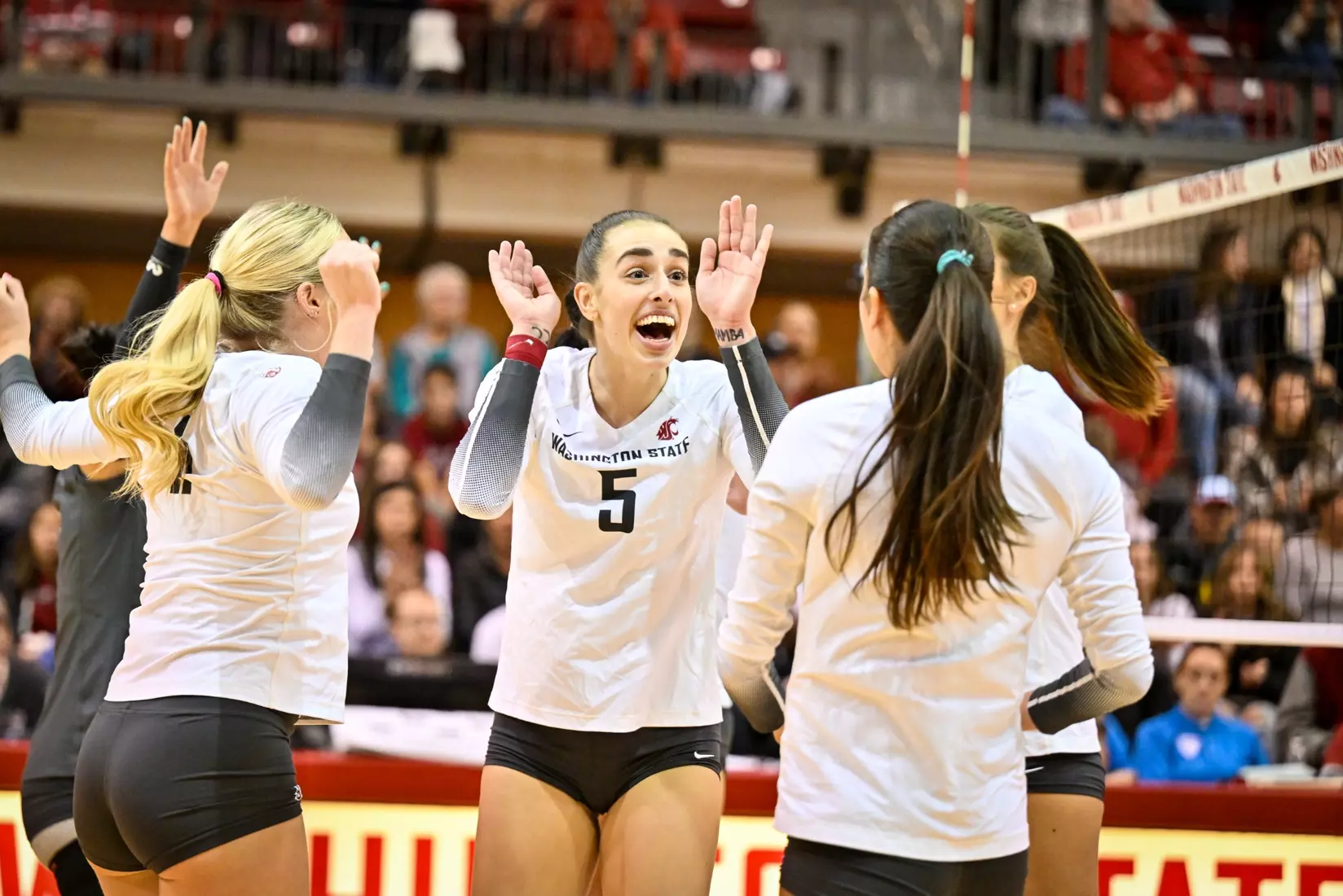 Washington State volleyball defeated Utah, 3-0 (25-20, 25-12, 25-18) on Friday, Nov. 18, 2022 in Bohler Gym.