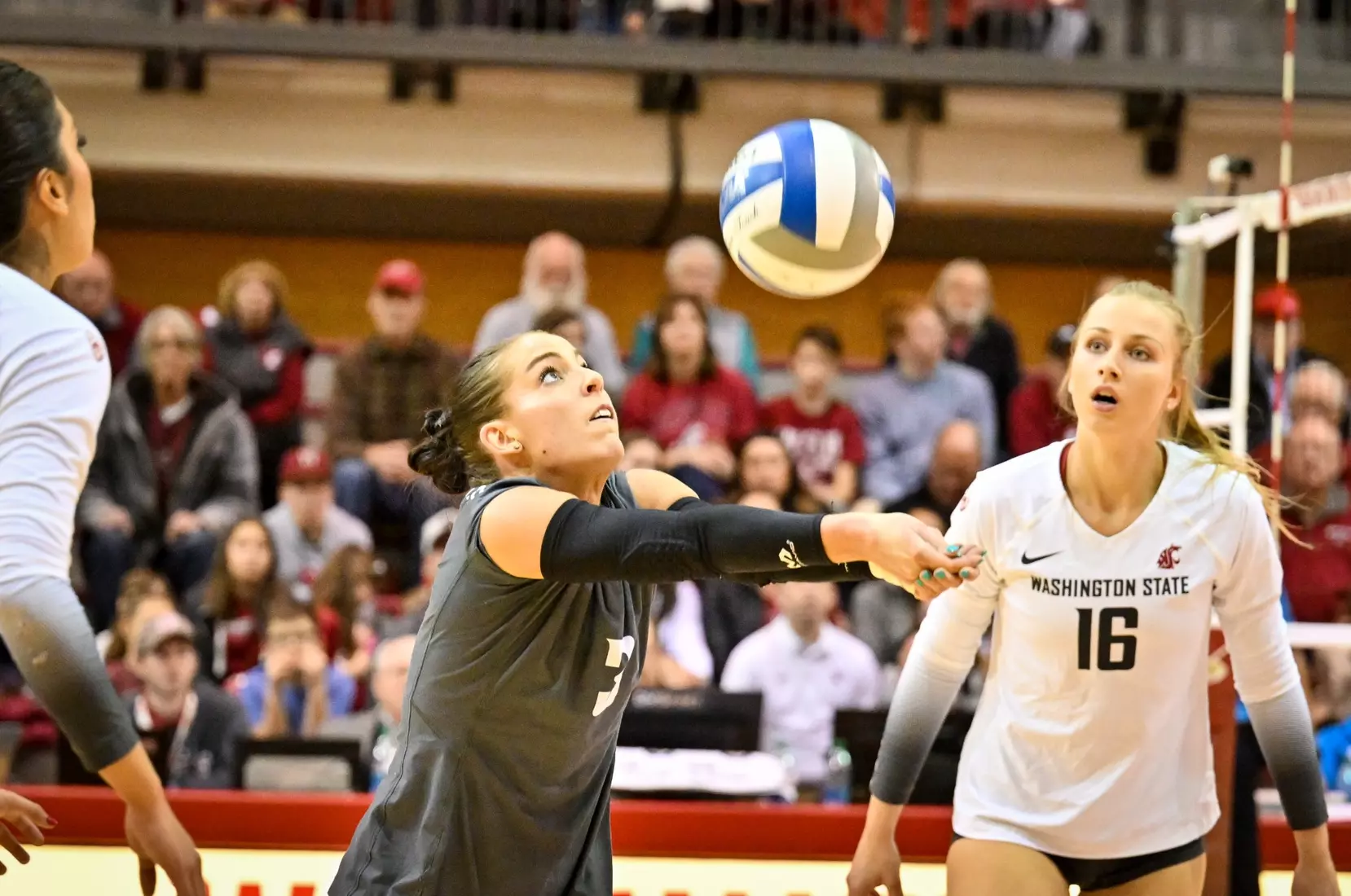 Washington State volleyball defeated Utah, 3-0 (25-20, 25-12, 25-18) on Friday, Nov. 18, 2022 in Bohler Gym.